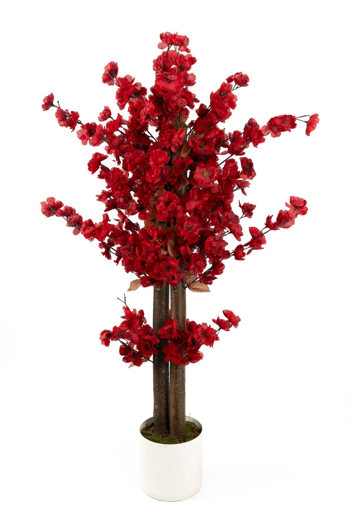 Beyaz Saksıda 100 Cm Bordo Renkli Yapay Bahardalı Ağacı
