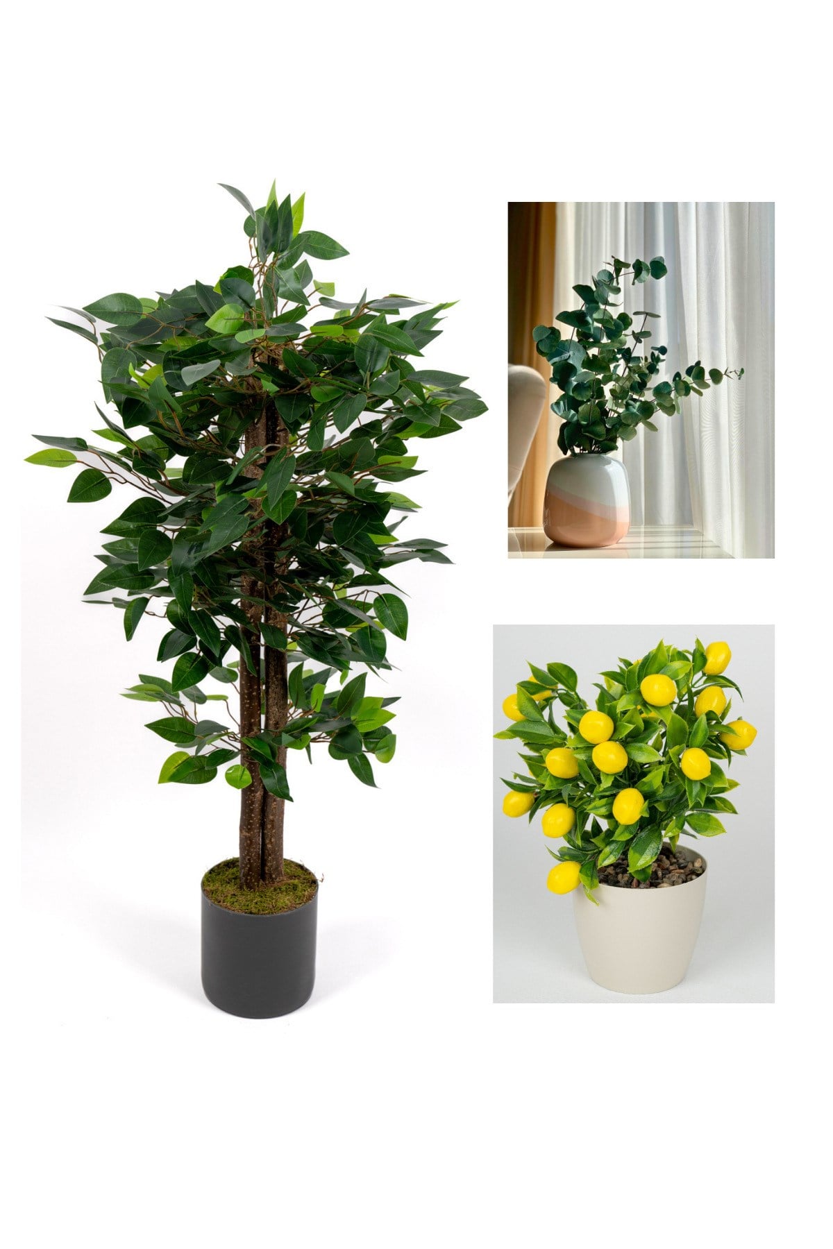 Dekoratif 3’lü Set: 100 cm Yapay Benjamin Ağacı + Şoklanmış Okaliptus Demeti + Yapay Limon – Ev & Of