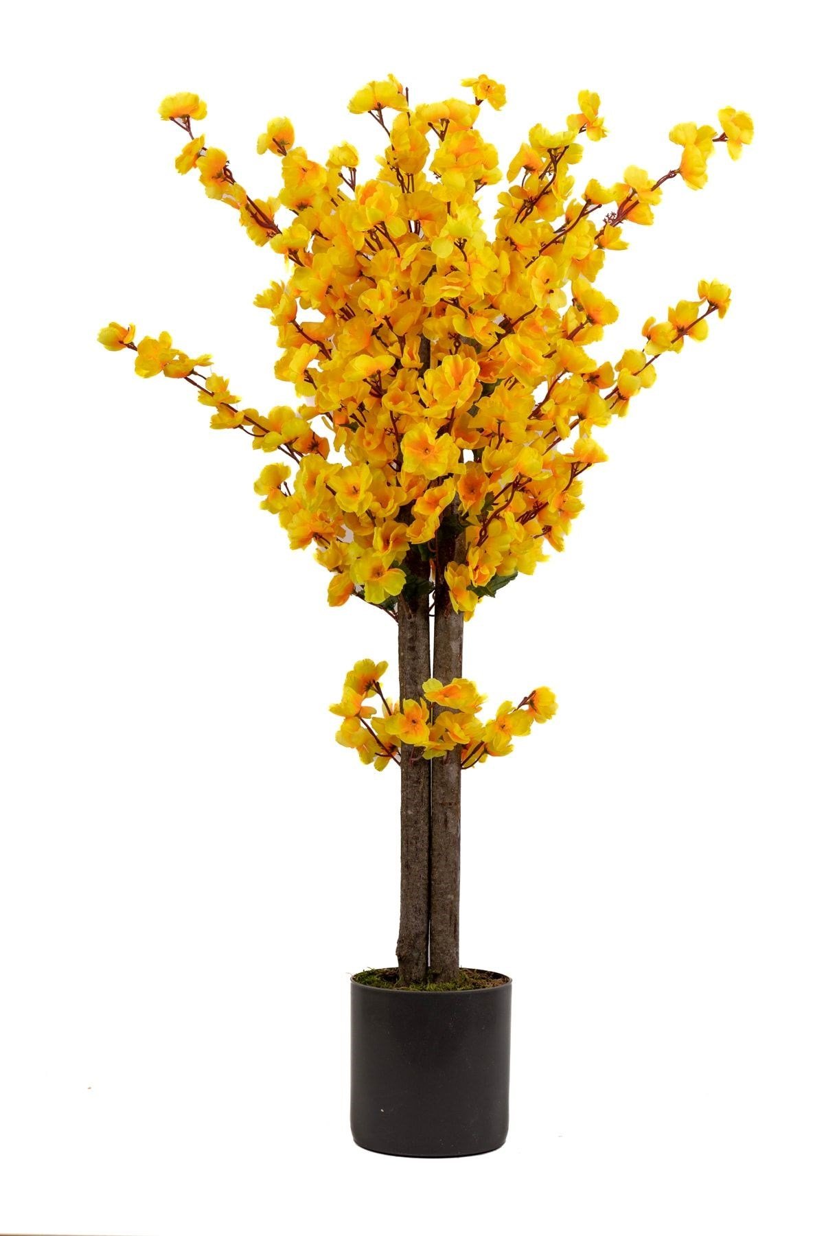 Gri Saksıda 100 Cm Sarı Bahardalı