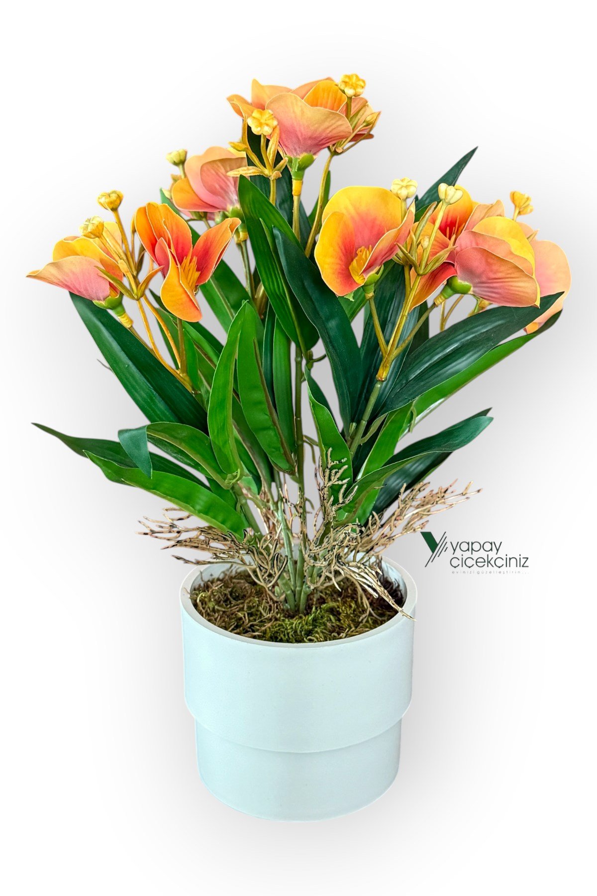 MODERN BEYAZ SAKSIDA 30 CM YAPAY KELEBEK ORKİDE ISLAK DOKULU 