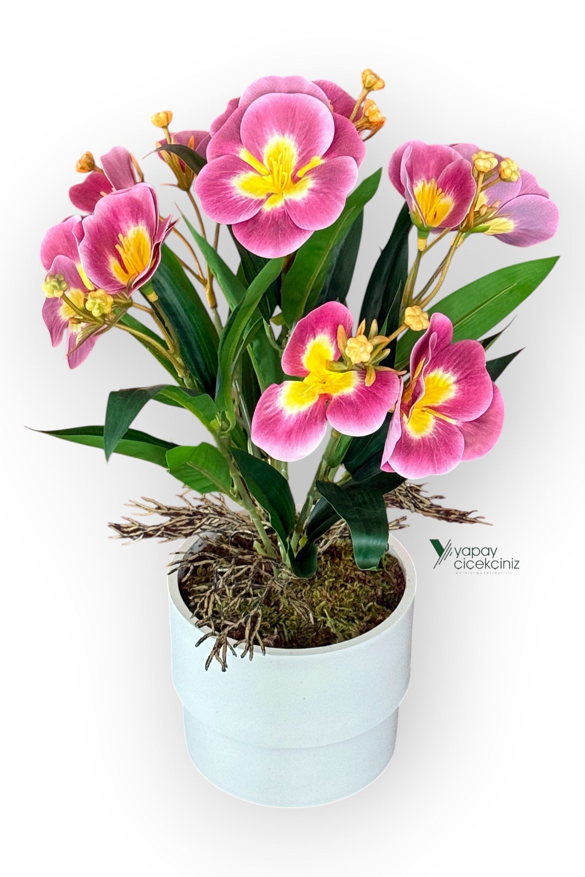 MODERN BEYAZ SAKSIDA 30 CM YAPAY KELEBEK ORKİDE ISLAK DOKULU 