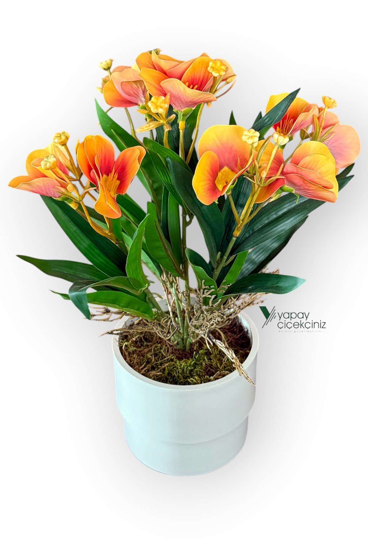 MODERN BEYAZ SAKSIDA 30 CM YAPAY KELEBEK ORKİDE ISLAK DOKULU 