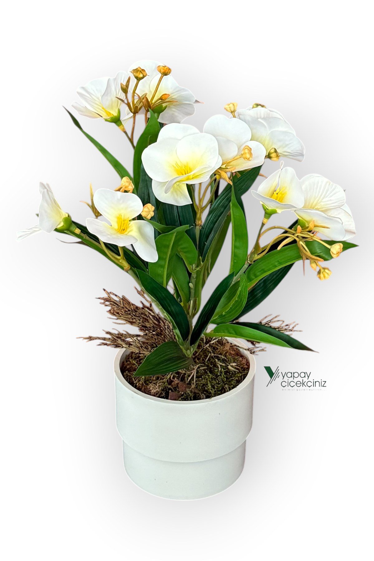 MODERN BEYAZ SAKSIDA 30 CM YAPAY KELEBEK ORKİDE ISLAK DOKULU 