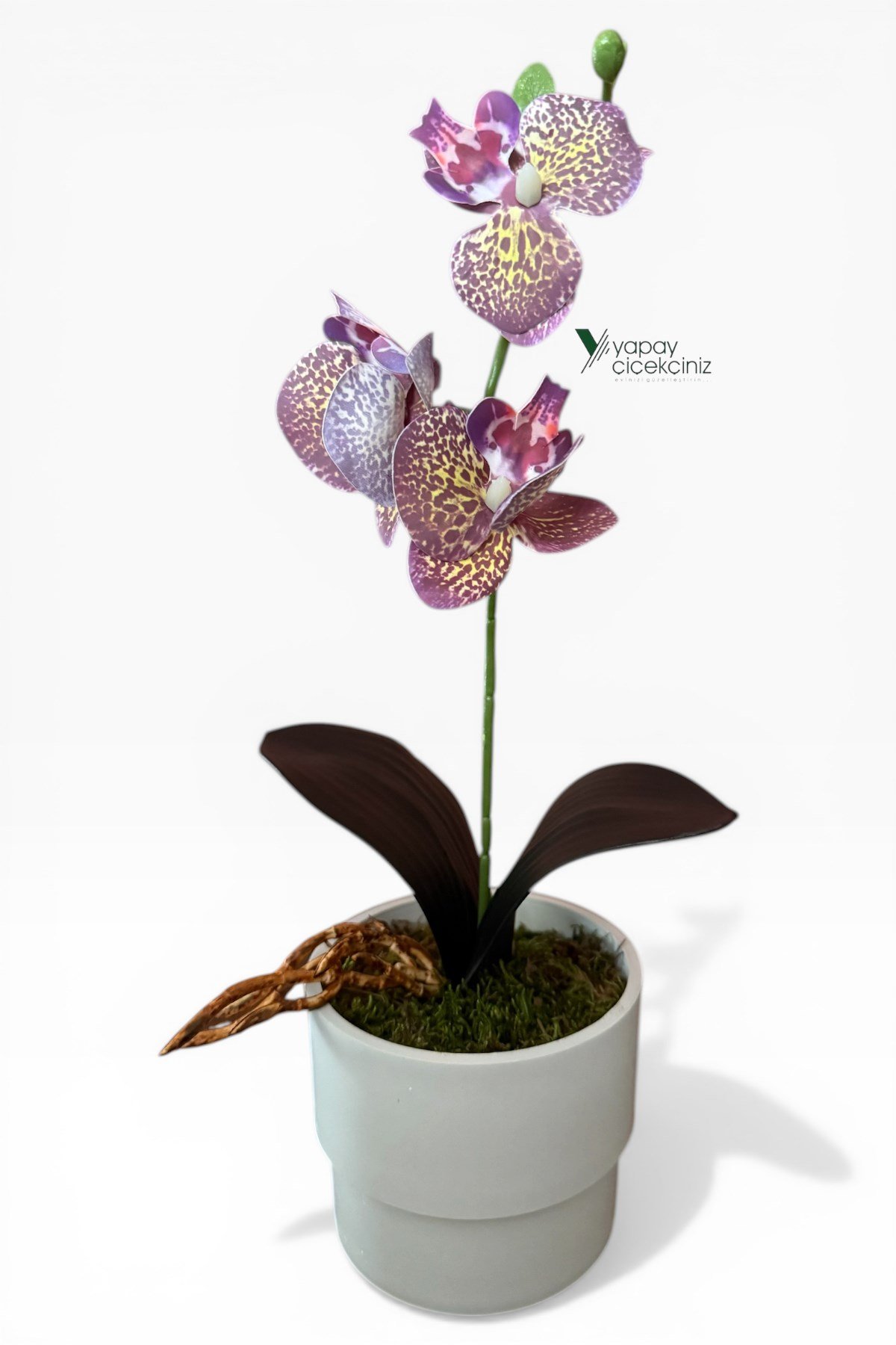 MODERN BEYAZ SAKSIDA 35 CM YAPAY ORKİDE ISLAK DOKULU
