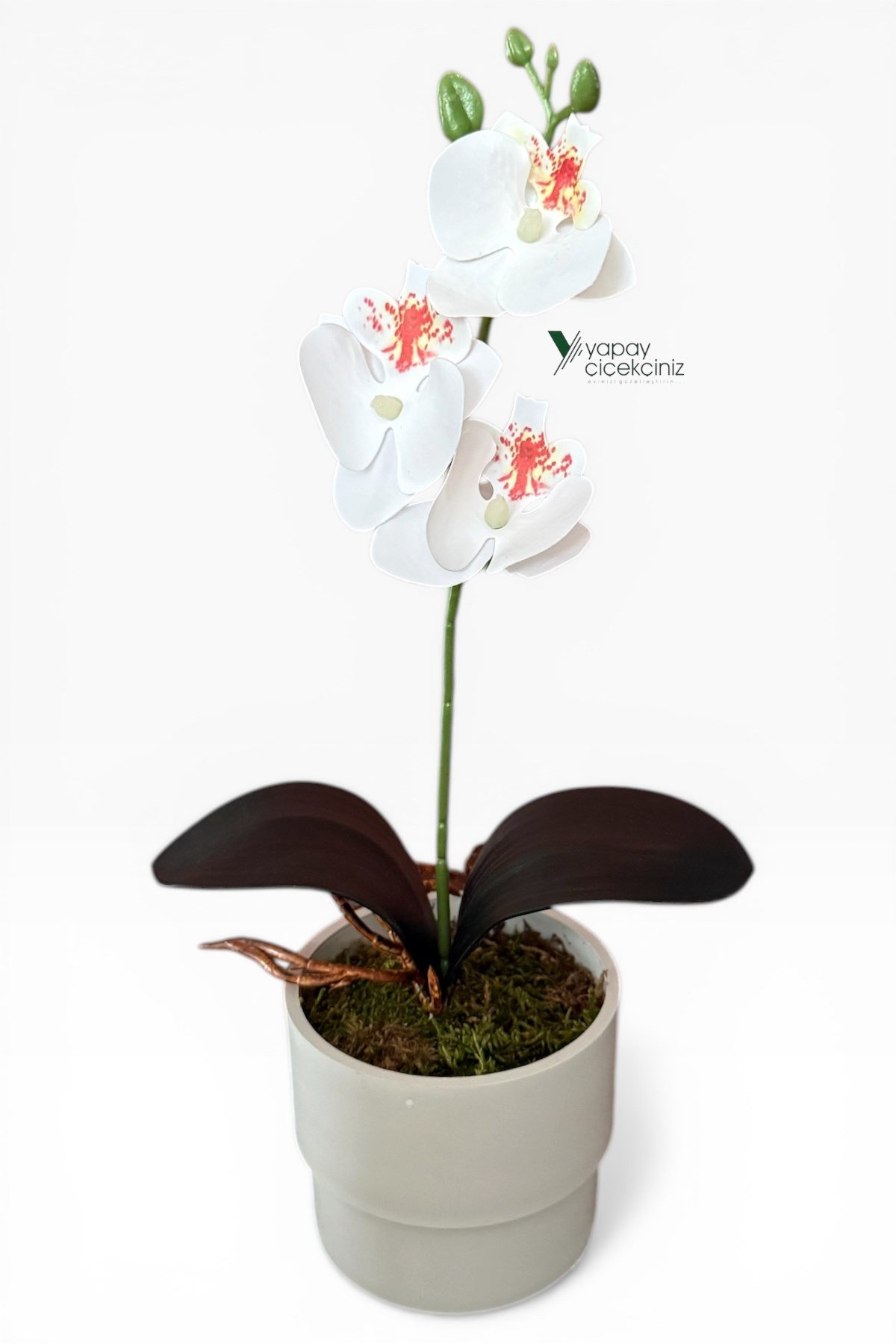 MODERN BEYAZ SAKSIDA 35 CM YAPAY ORKİDE ISLAK DOKULU