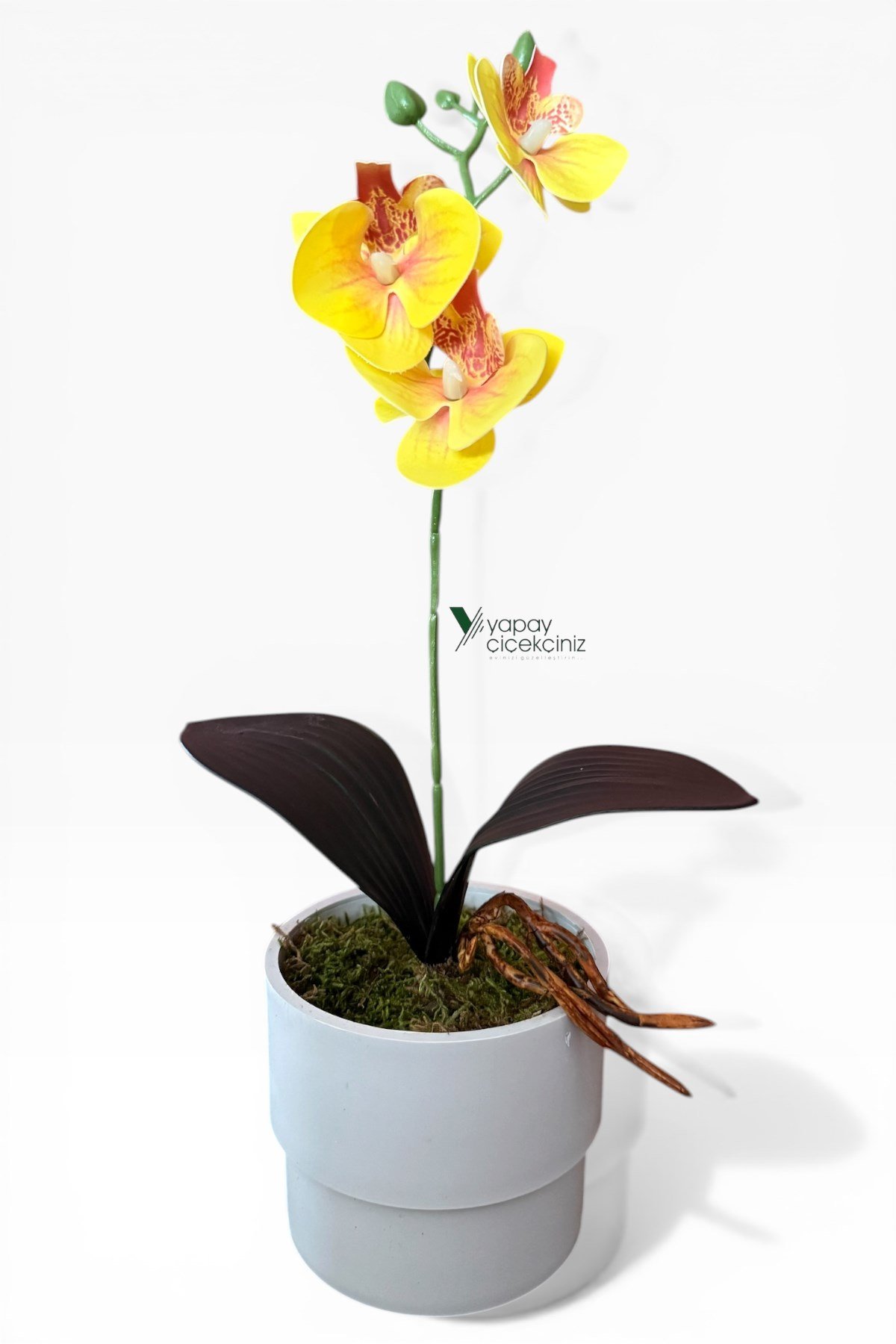 MODERN BEYAZ SAKSIDA 35 CM YAPAY ORKİDE ISLAK DOKULU
