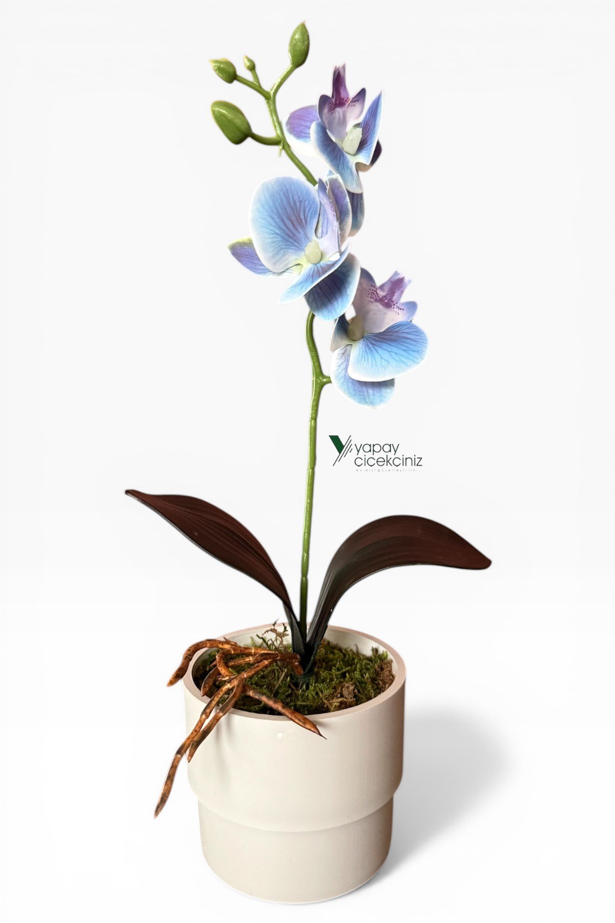 MODERN BEYAZ SAKSIDA 35 CM YAPAY ORKİDE ISLAK DOKULU