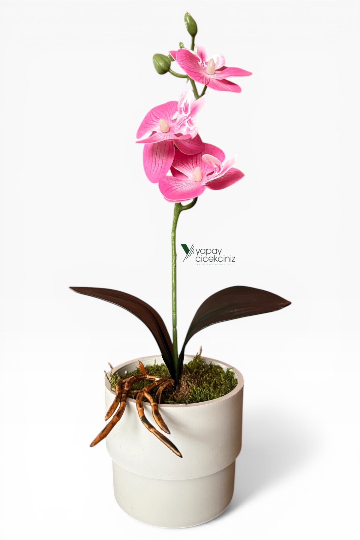 MODERN BEYAZ SAKSIDA 35 CM YAPAY ORKİDE ISLAK DOKULU