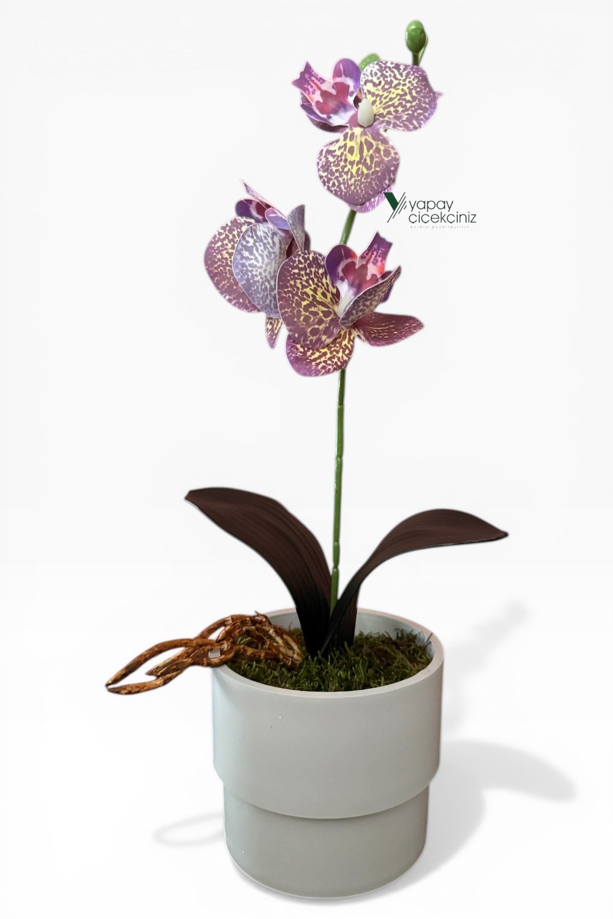 MODERN BEYAZ SAKSIDA 35 CM YAPAY ORKİDE ISLAK DOKULU