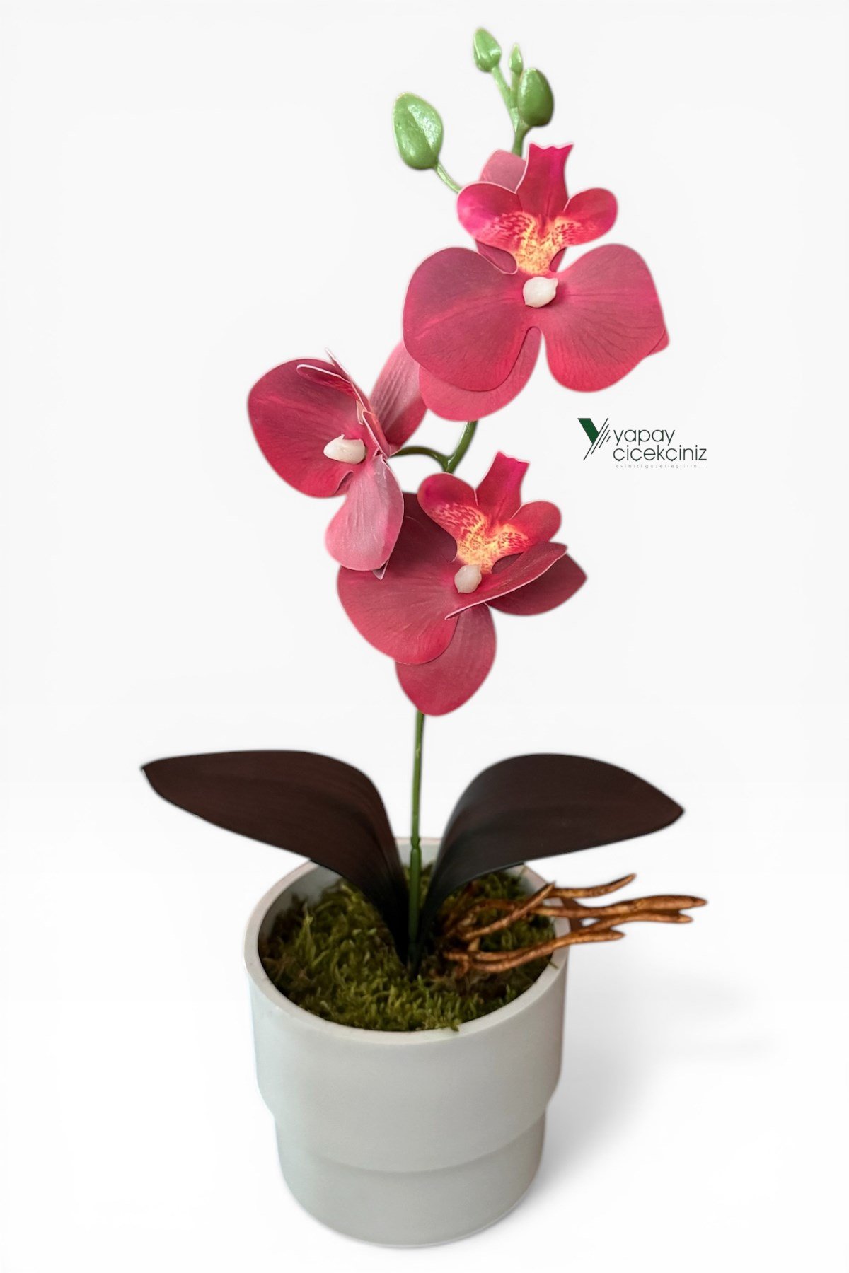 MODERN BEYAZ SAKSIDA 35 CM YAPAY ORKİDE ISLAK DOKULU