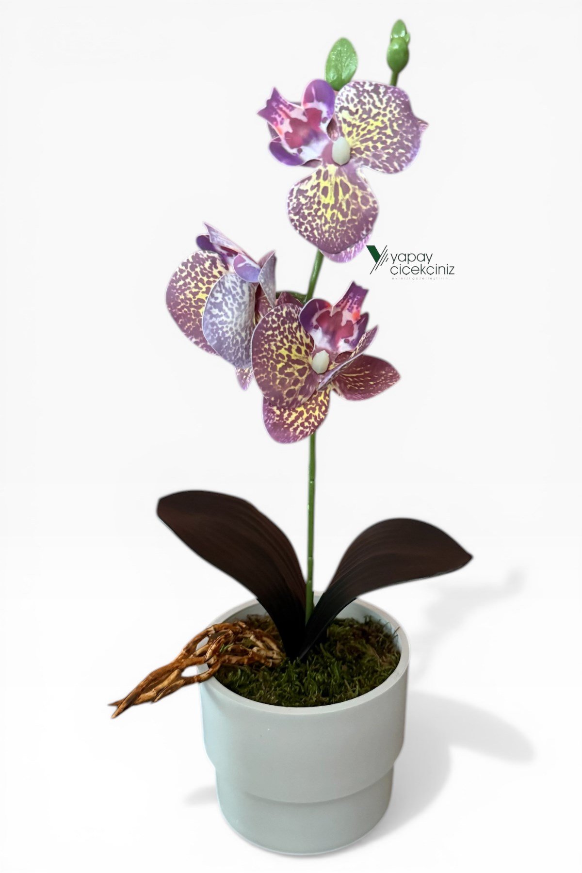 MODERN BEYAZ SAKSIDA 35 CM YAPAY ORKİDE ISLAK DOKULU