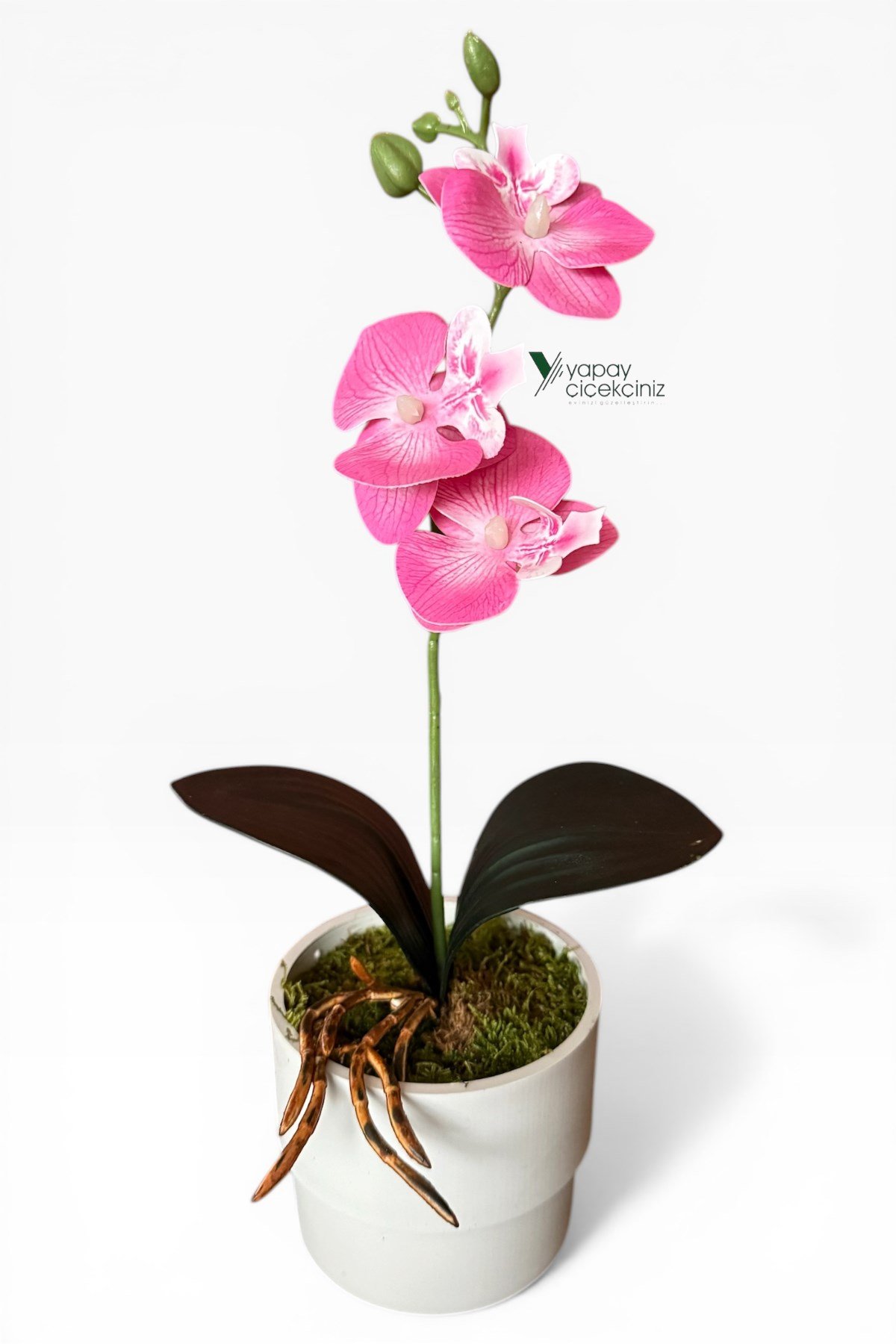 MODERN BEYAZ SAKSIDA 35 CM YAPAY ORKİDE ISLAK DOKULU