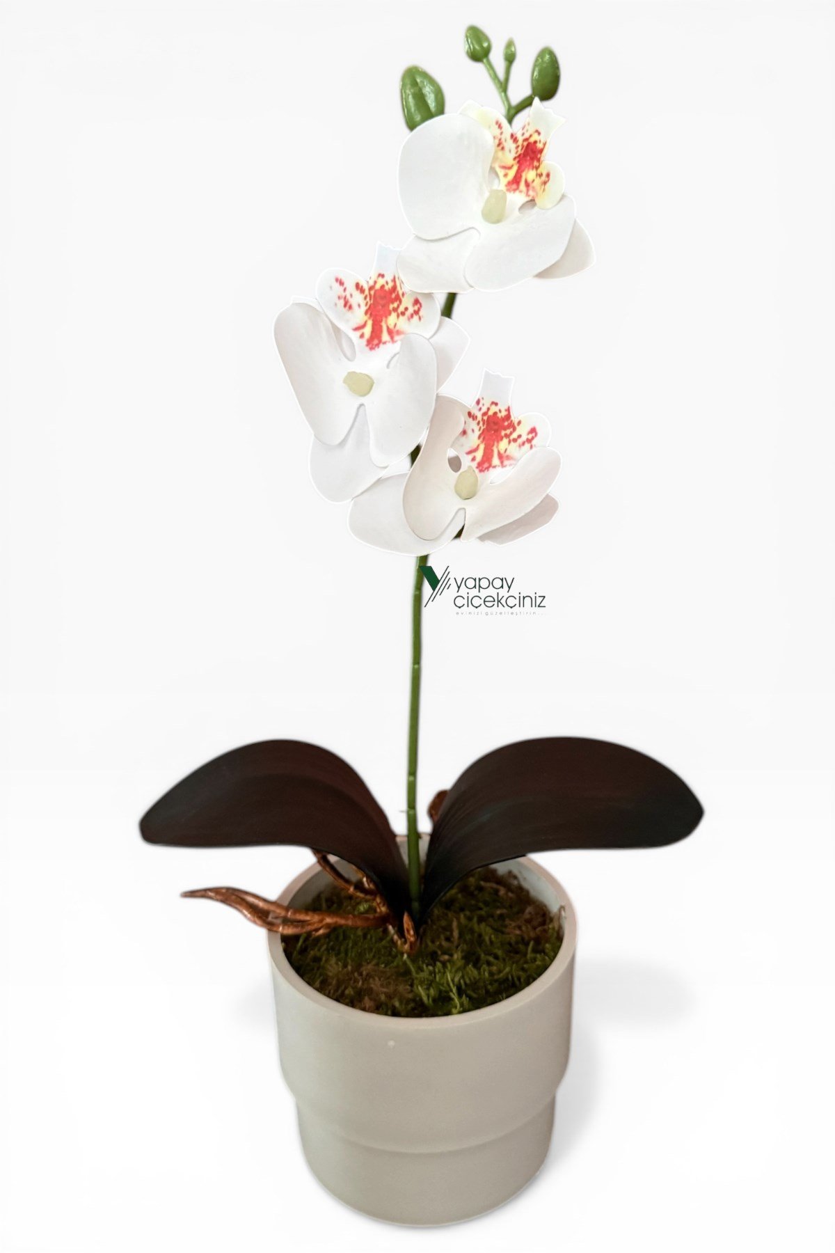 MODERN BEYAZ SAKSIDA 35 CM YAPAY ORKİDE ISLAK DOKULU