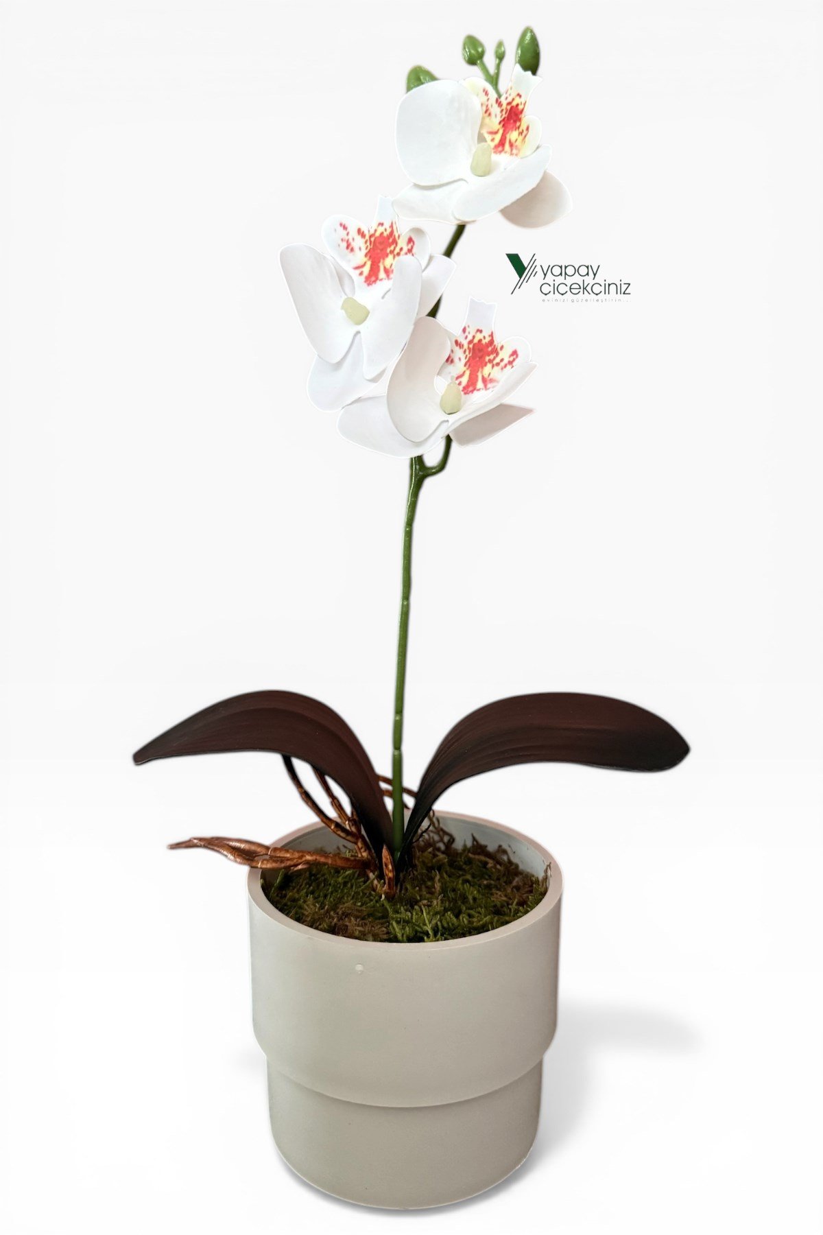 MODERN BEYAZ SAKSIDA 35 CM YAPAY ORKİDE ISLAK DOKULU