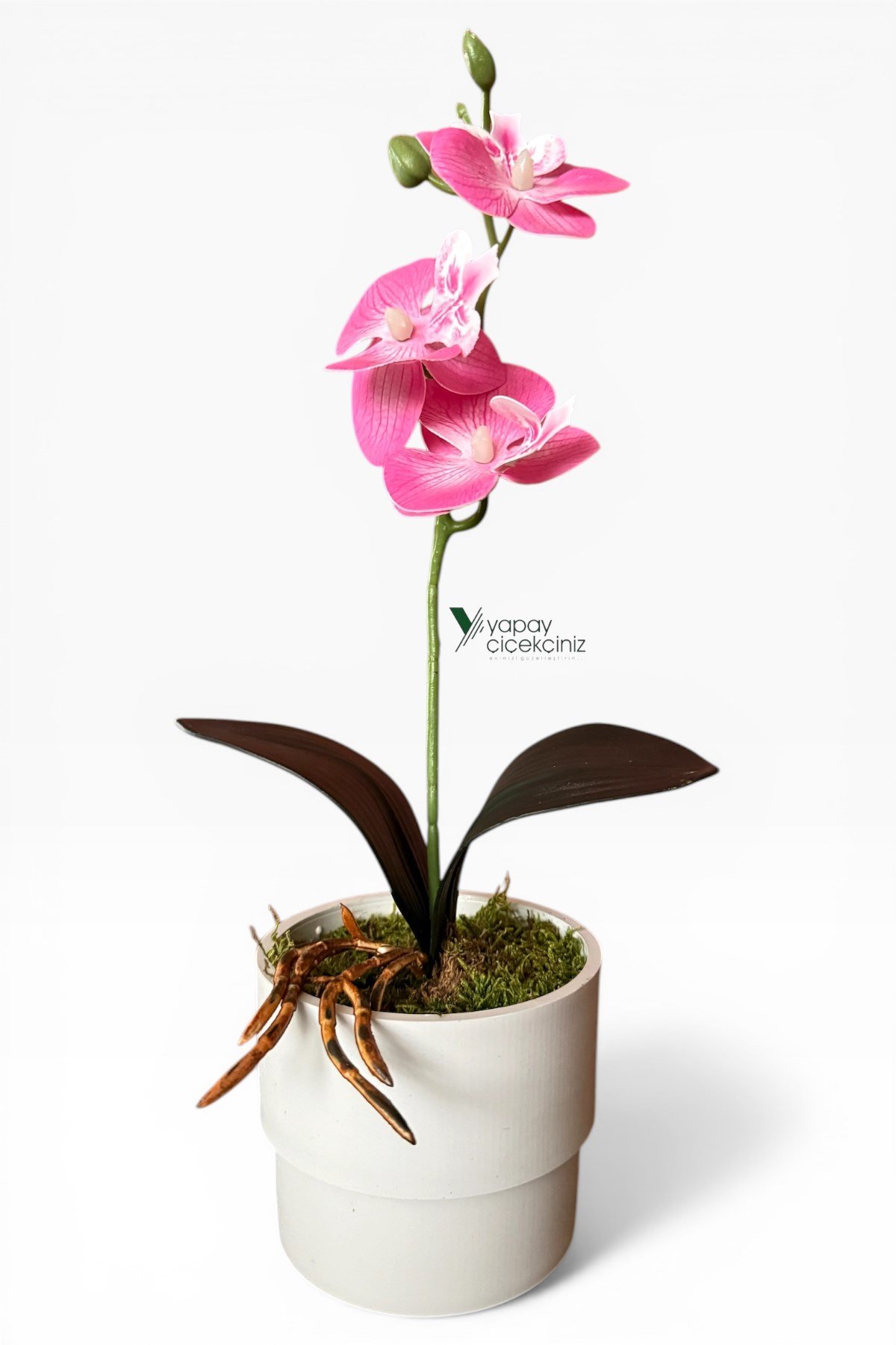 MODERN BEYAZ SAKSIDA 35 CM YAPAY ORKİDE ISLAK DOKULU