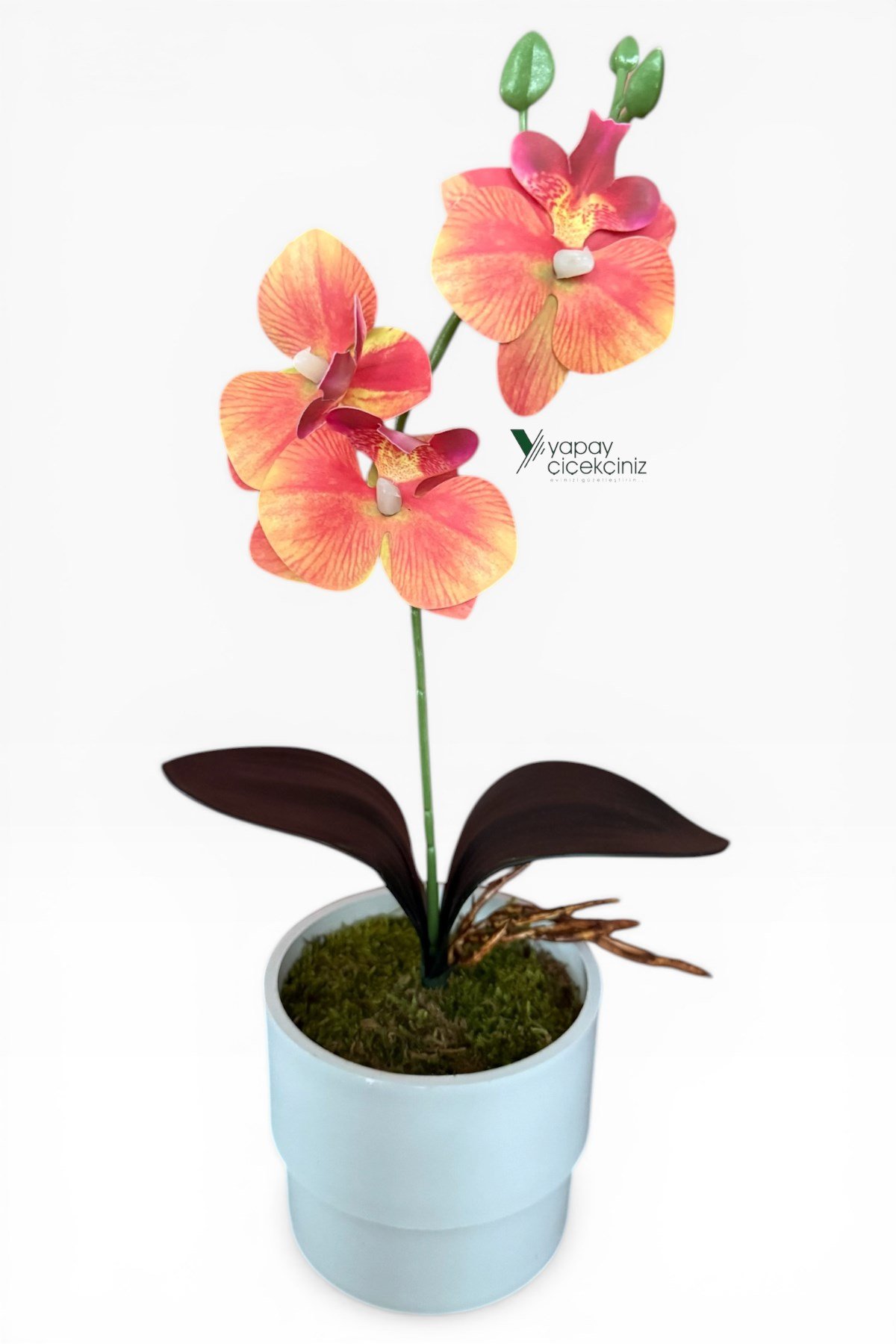 MODERN BEYAZ SAKSIDA 35 CM YAPAY ORKİDE ISLAK DOKULU