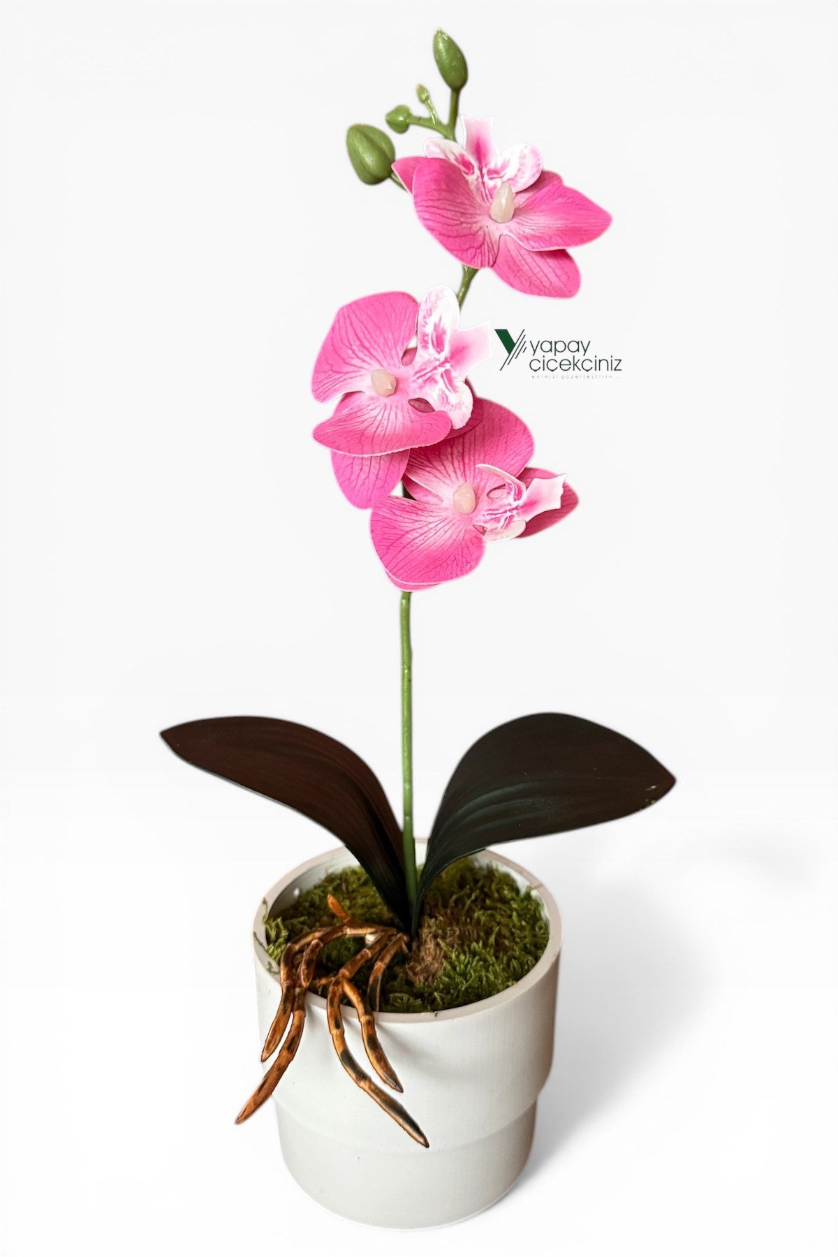 MODERN BEYAZ SAKSIDA 35 CM YAPAY ORKİDE ISLAK DOKULU