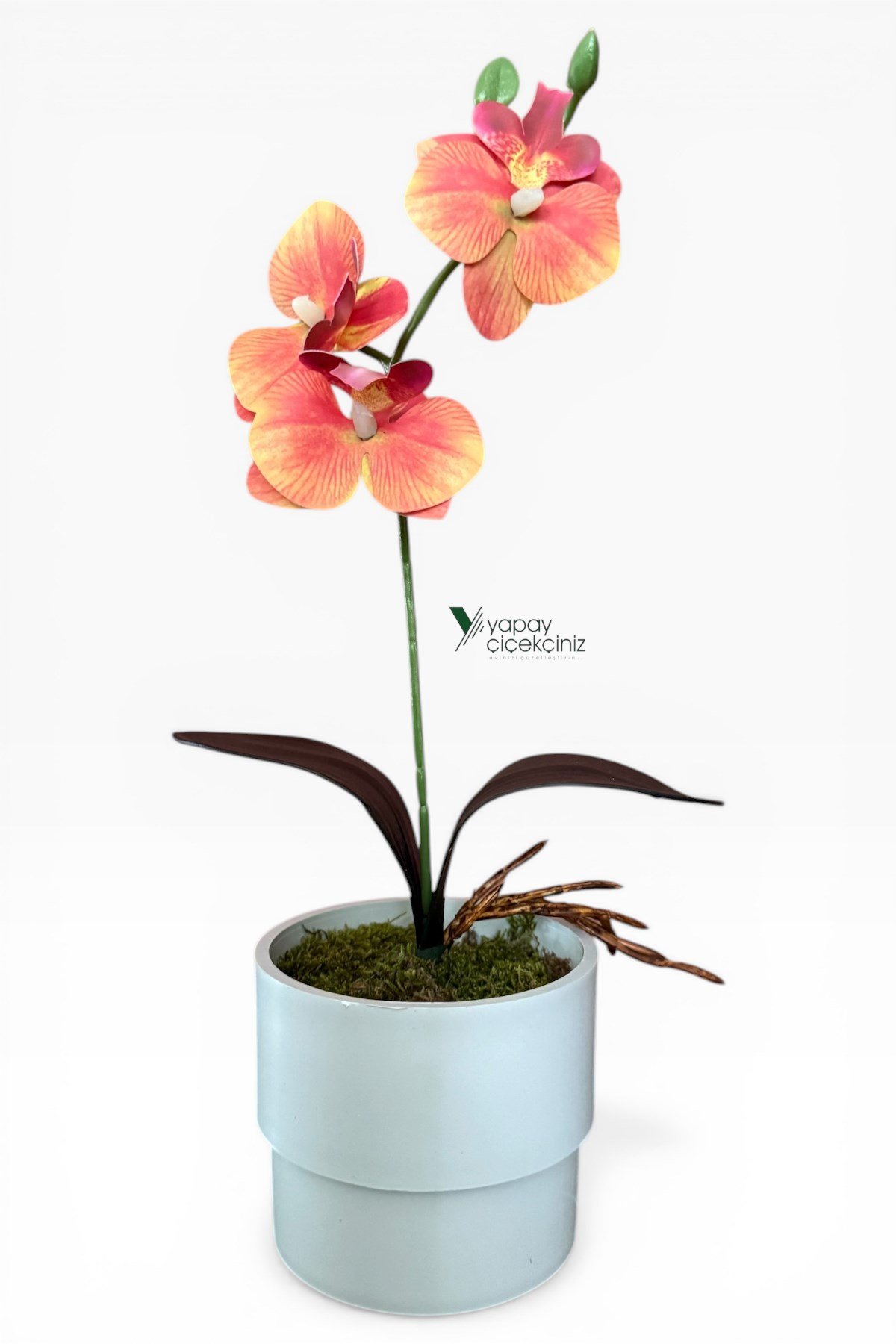 MODERN BEYAZ SAKSIDA 35 CM YAPAY ORKİDE ISLAK DOKULU