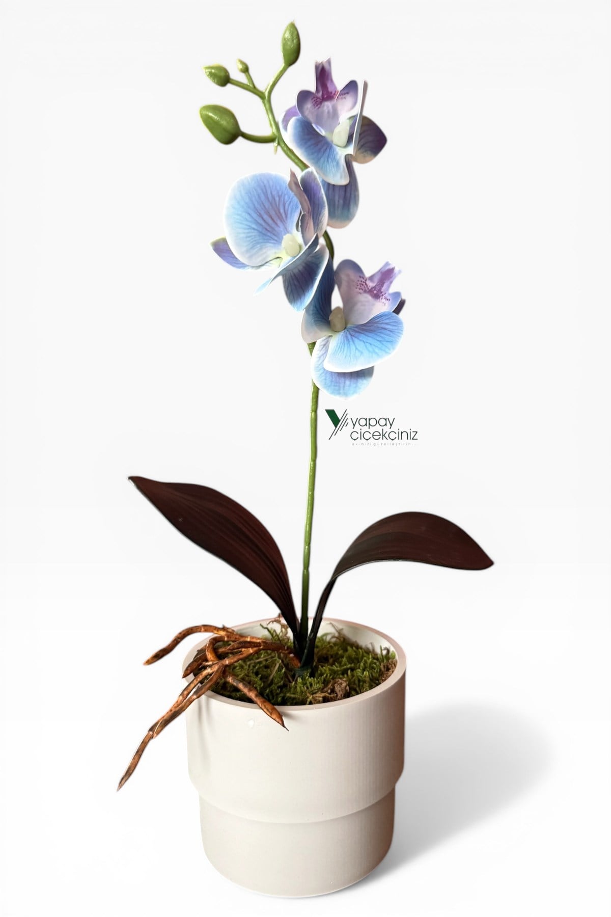 MODERN BEYAZ SAKSIDA 35 CM YAPAY ORKİDE ISLAK DOKULU