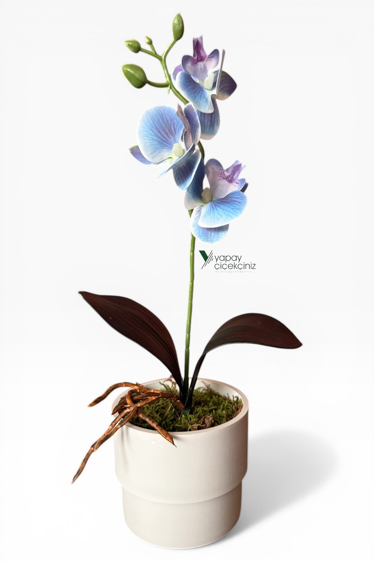 MODERN BEYAZ SAKSIDA 35 CM YAPAY ORKİDE ISLAK DOKULU