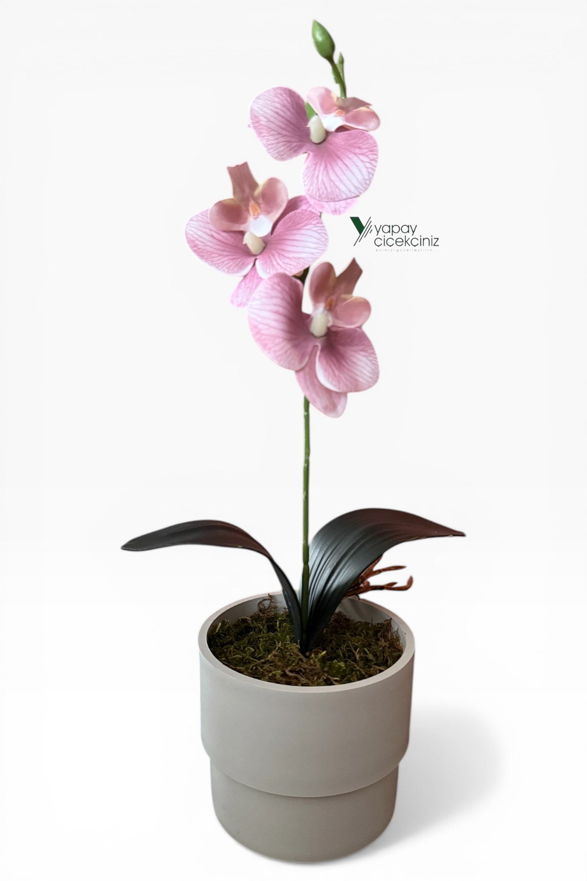 MODERN BEYAZ SAKSIDA 35 CM YAPAY ORKİDE ISLAK DOKULU