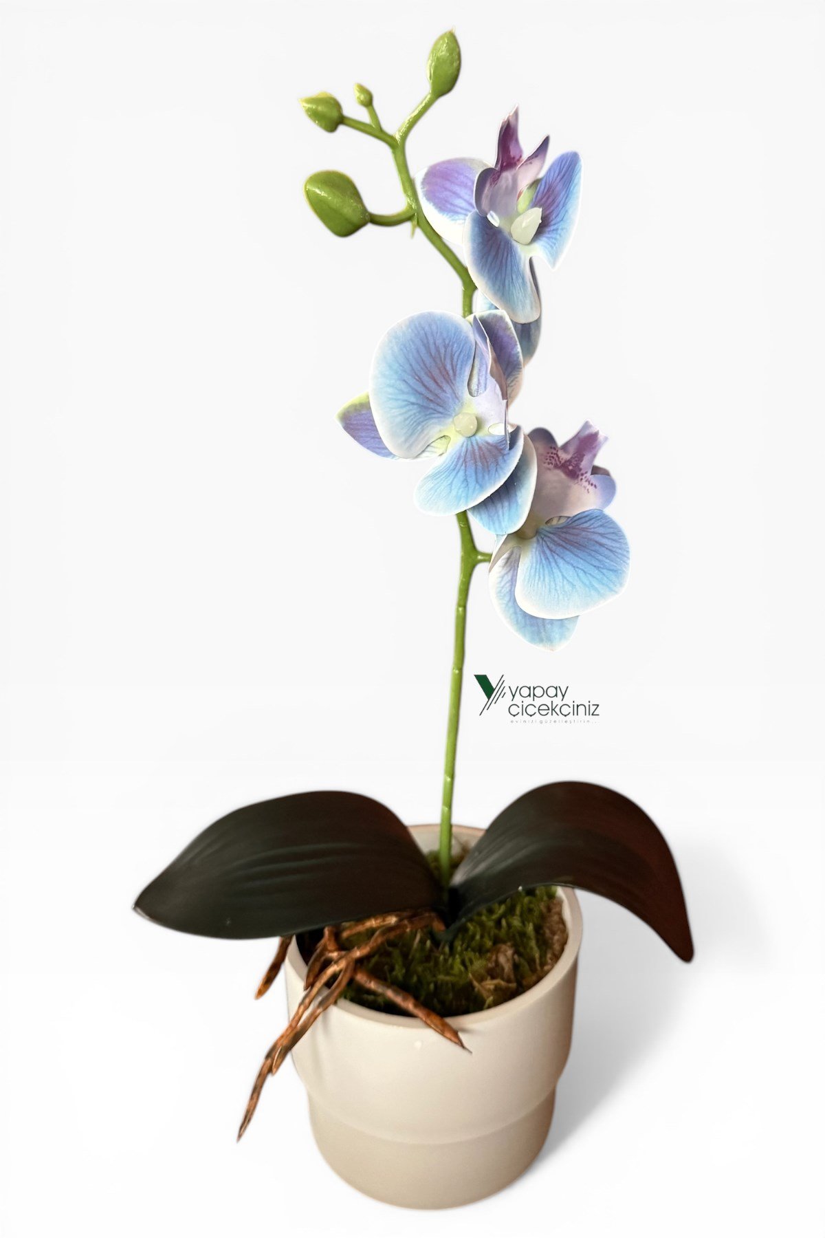 MODERN BEYAZ SAKSIDA 35 CM YAPAY ORKİDE ISLAK DOKULU