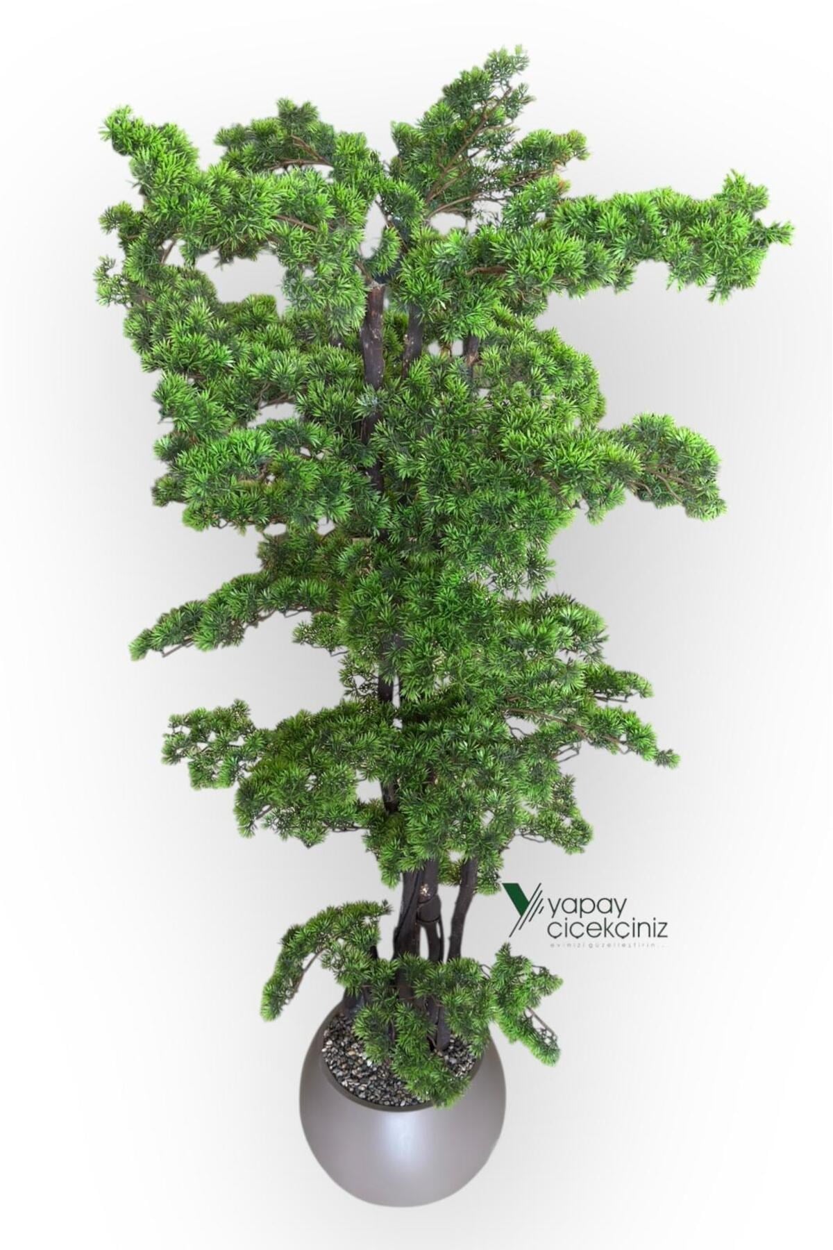 Modern Küre Saksıda 180 cm Yoğun Yapraklı Lüks Bonzai Bonsai Ağacı