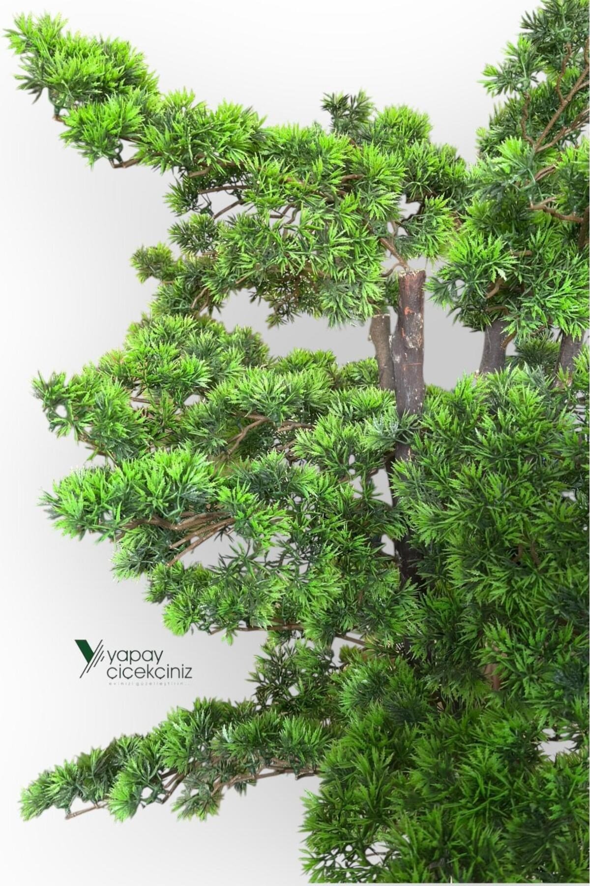 Modern Küre Saksıda 180 cm Yoğun Yapraklı Lüks Bonzai Bonsai Ağacı