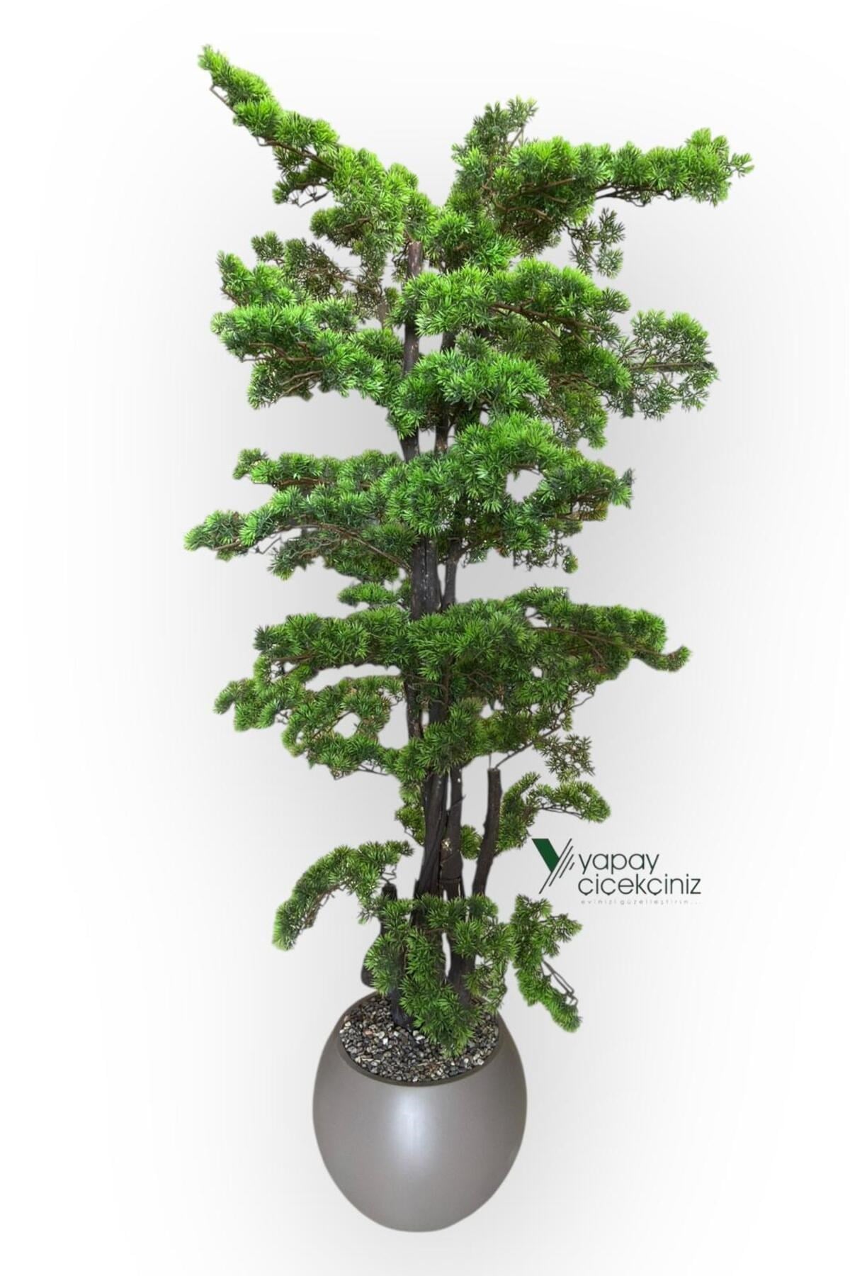 Modern Küre Saksıda 180 cm Yoğun Yapraklı Lüks Bonzai Bonsai Ağacı