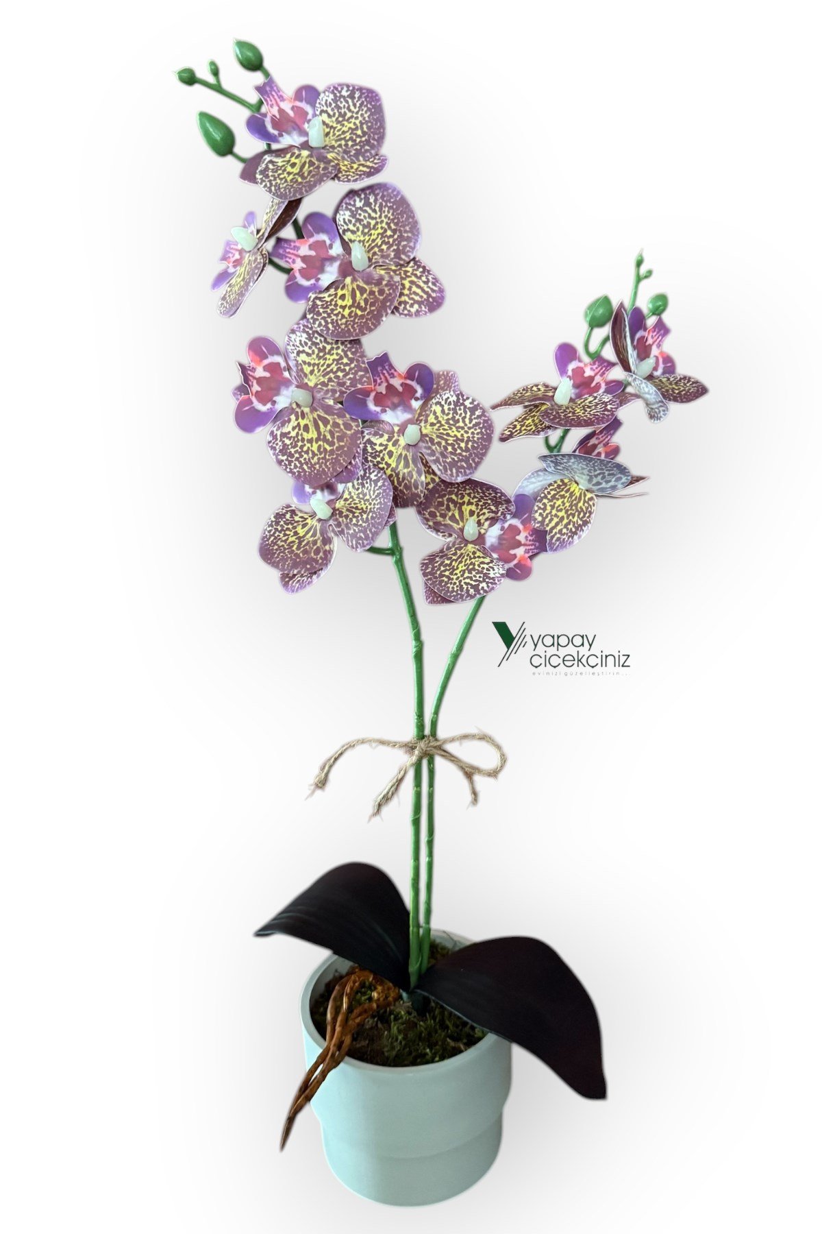 MODERN TASARIM BEYAZ RENKLİ SAKSIDA 2 DALLI YAPAY ISLAK ORKİDE 50 CM