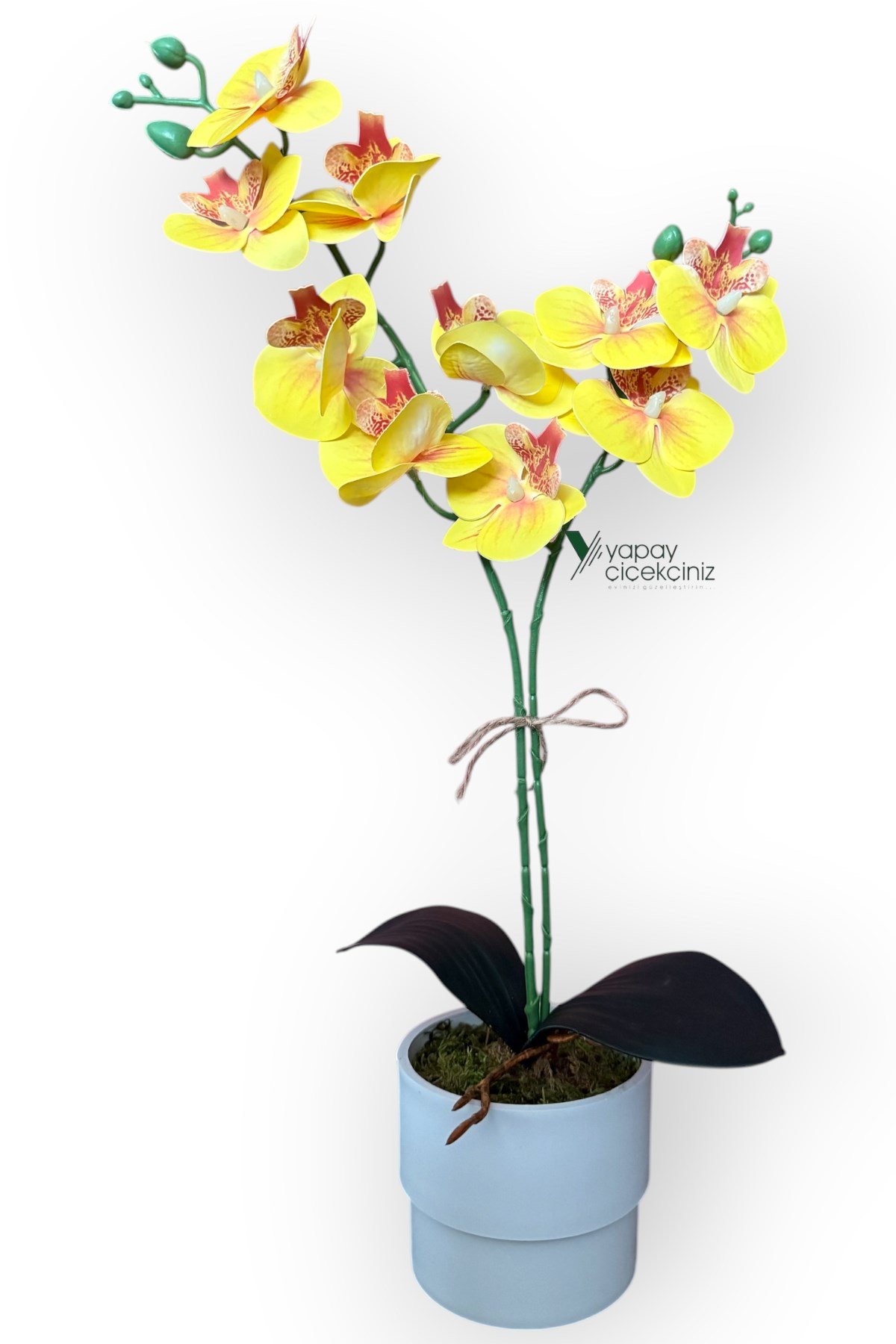 MODERN TASARIM BEYAZ RENKLİ SAKSIDA 2 DALLI YAPAY ISLAK ORKİDE 50 CM
