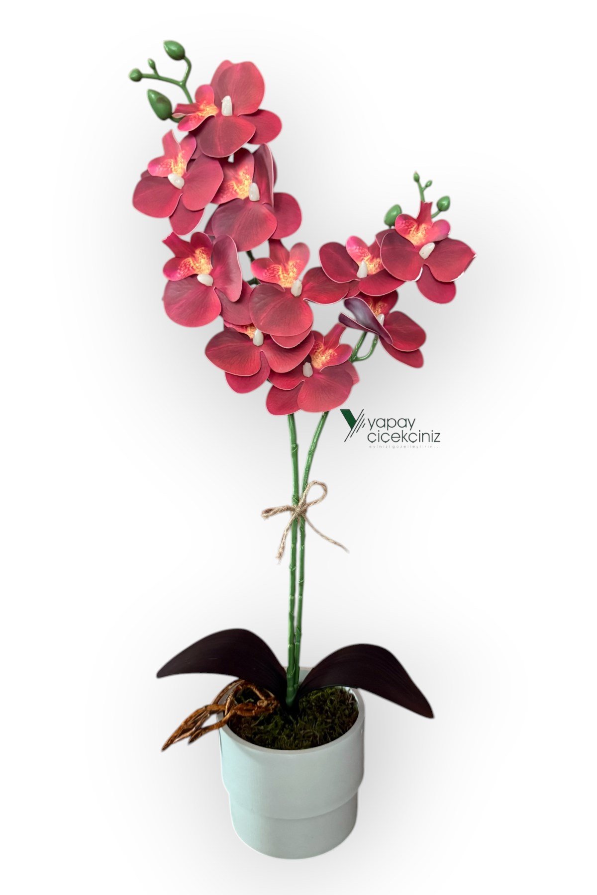 MODERN TASARIM BEYAZ RENKLİ SAKSIDA 2 DALLI YAPAY ISLAK ORKİDE 50 CM