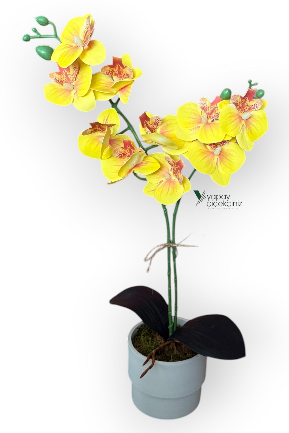 MODERN TASARIM BEYAZ RENKLİ SAKSIDA 2 DALLI YAPAY ISLAK ORKİDE 50 CM