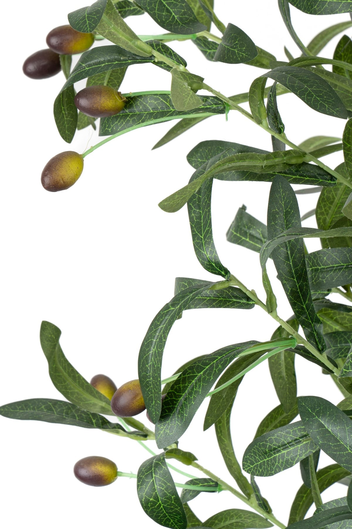 Siyah Renkli Saksı Gerçek Gövdeli 150 cm Yapay Zeytin Ağacı