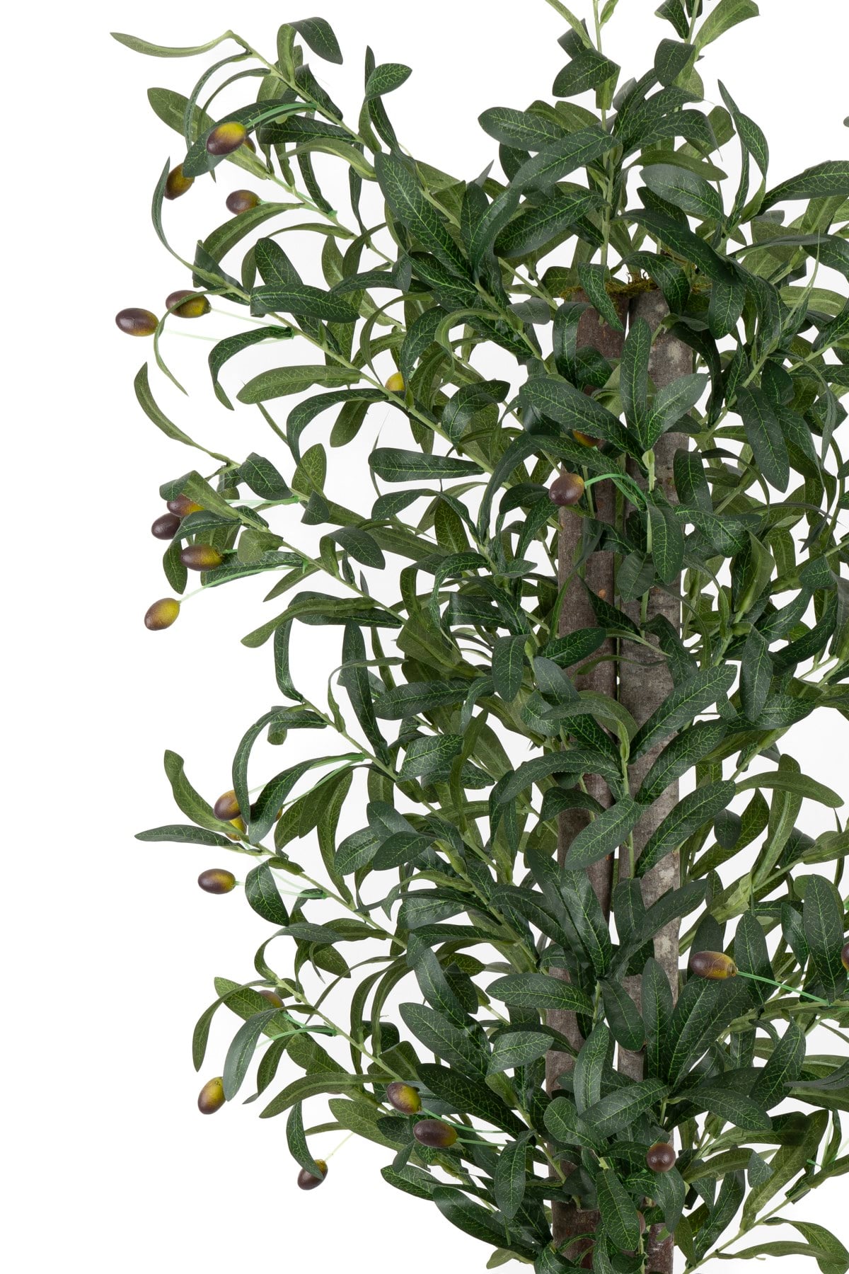 Siyah Renkli Saksı Gerçek Gövdeli 150 cm Yapay Zeytin Ağacı