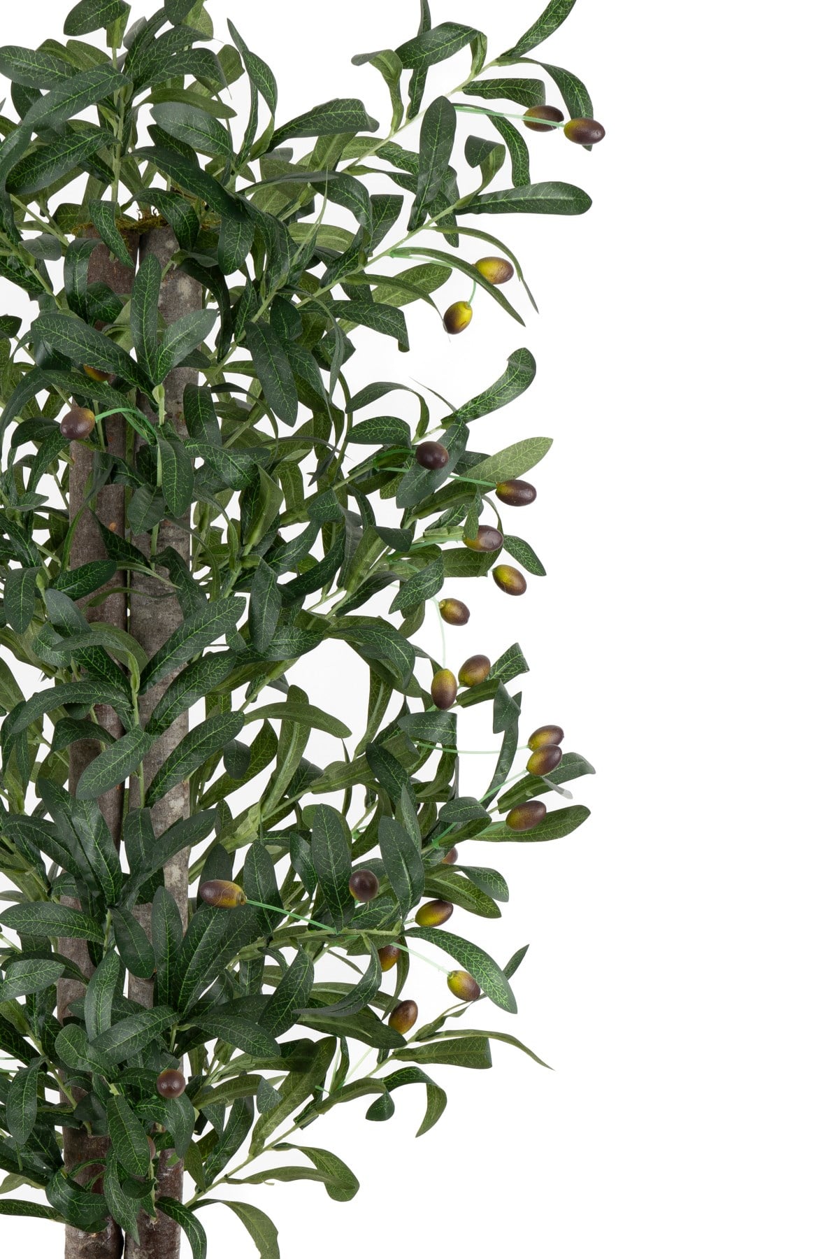 Siyah Renkli Saksı Gerçek Gövdeli 150 cm Yapay Zeytin Ağacı