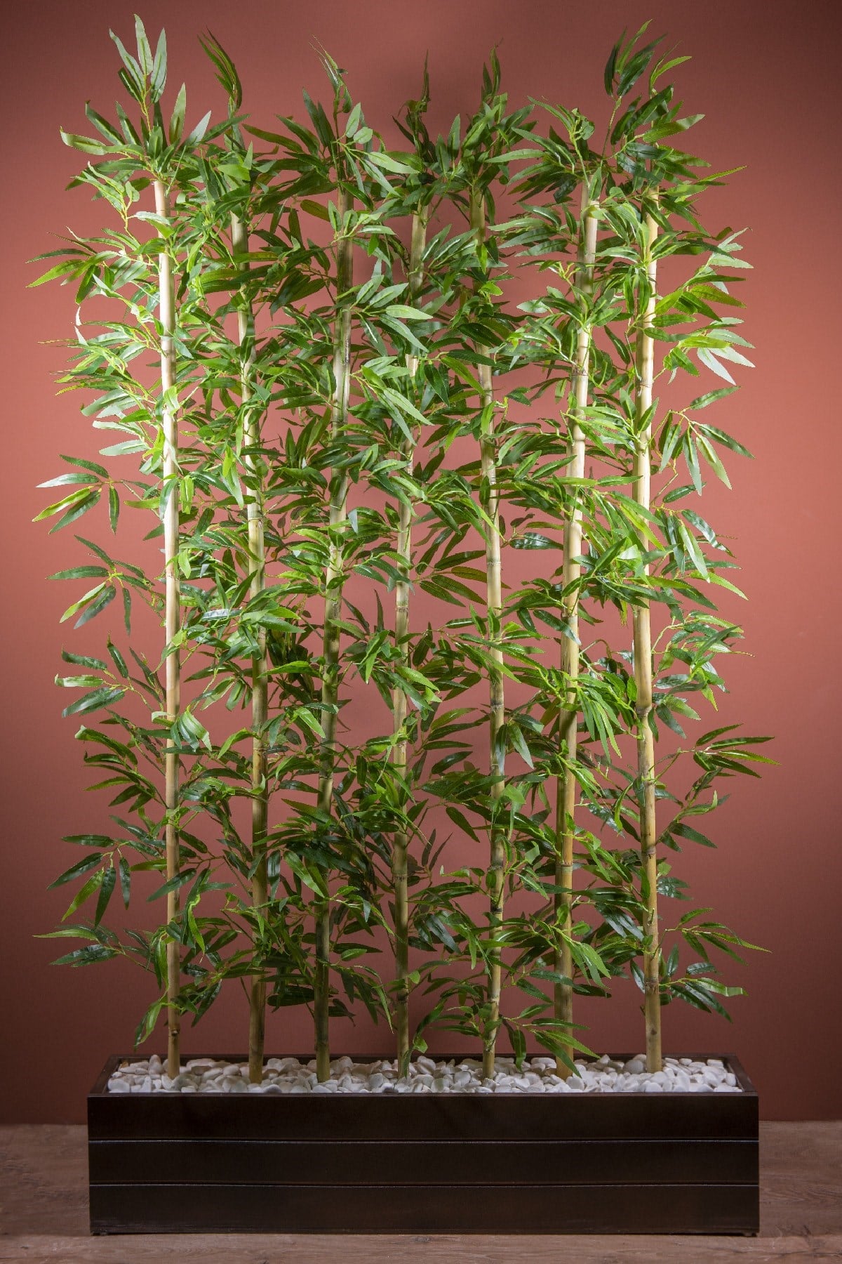 Siyah Saksıda 170 Cm Bambu Seperatör