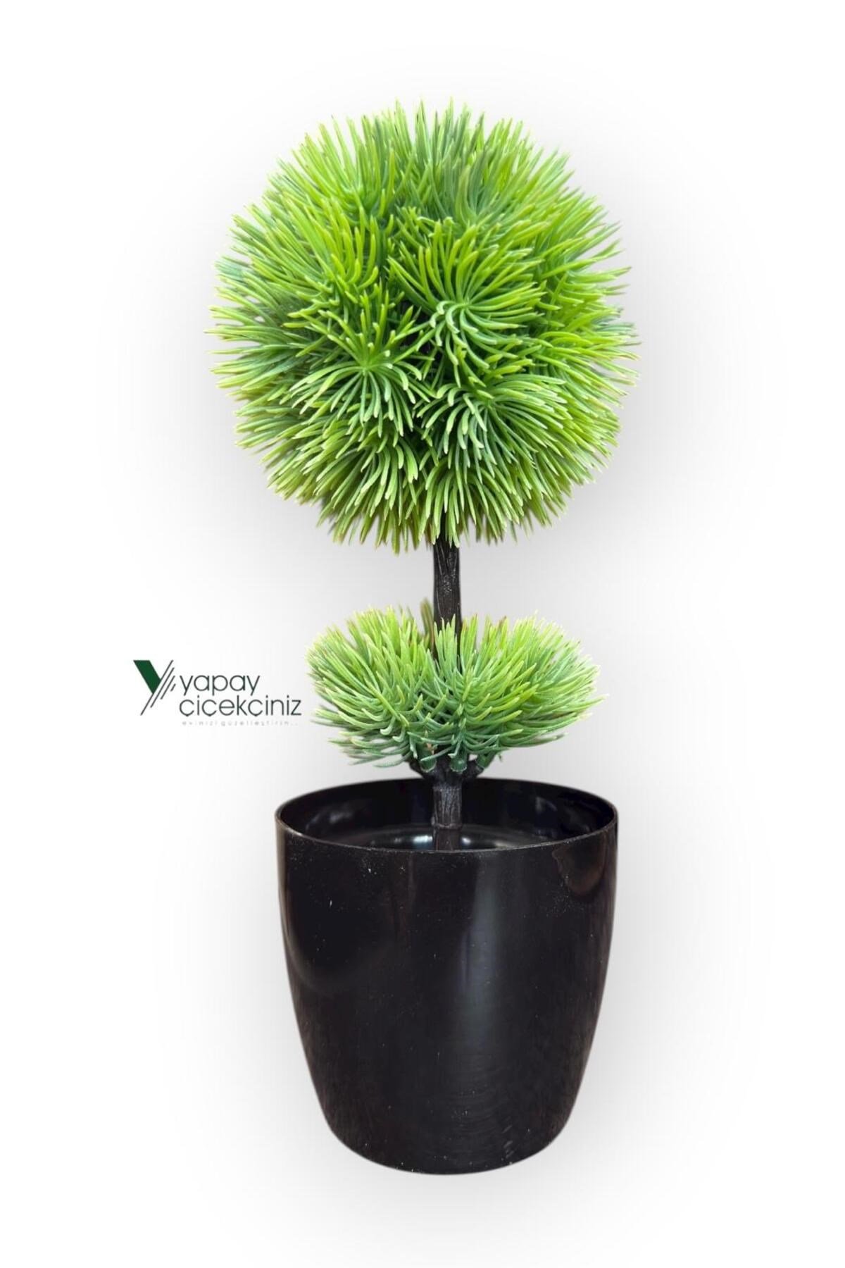 Siyah Saksıda 25 cm Mini Top Şimşir