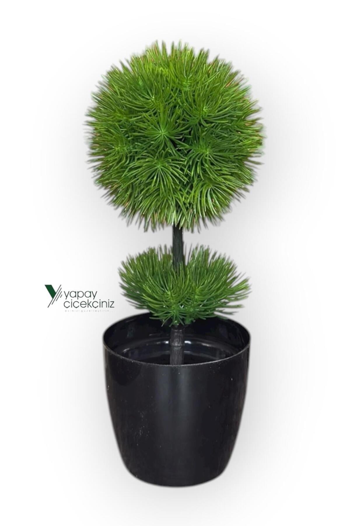 Siyah Saksıda 25 cm Mini Top Şimşir