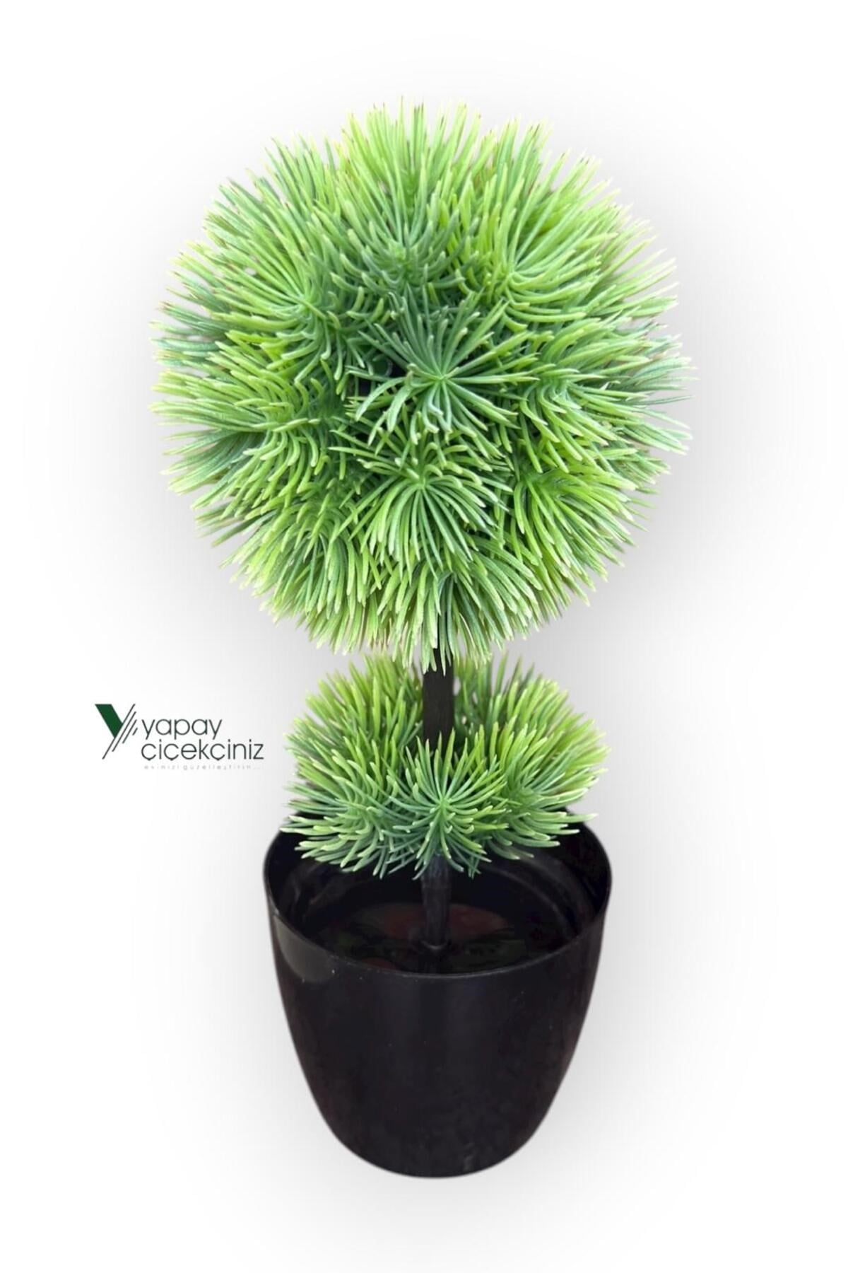 Siyah Saksıda 25 cm Mini Top Şimşir