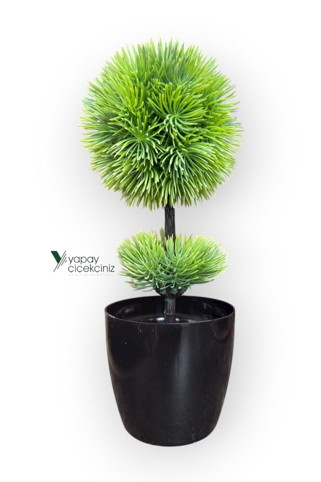 Siyah Saksıda 25 cm Mini Top Şimşir