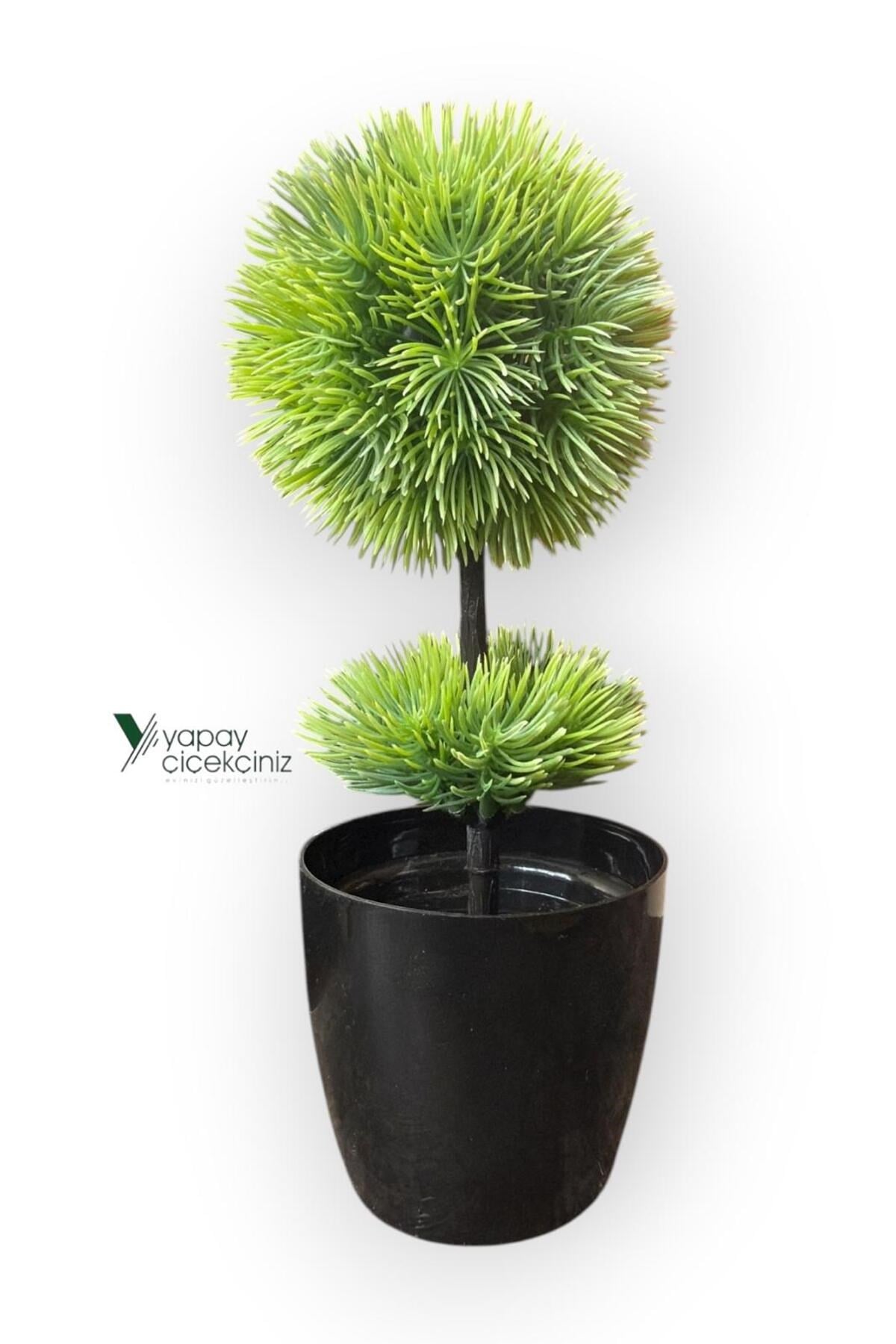 Siyah Saksıda 25 cm Mini Top Şimşir