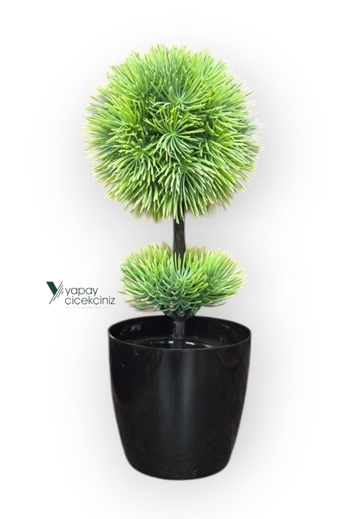 Siyah Saksıda 25 cm Mini Top Şimşir