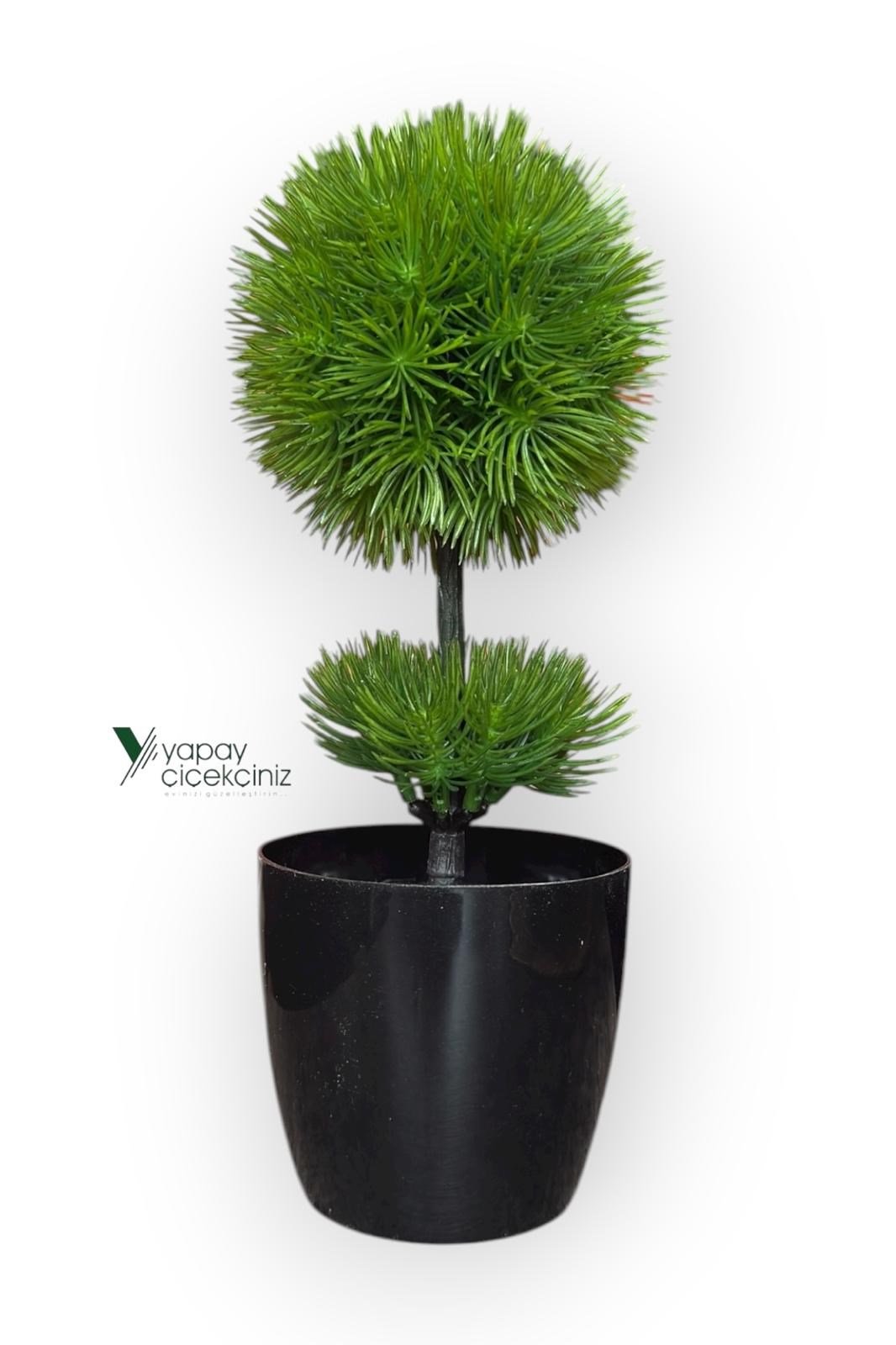 Siyah Saksıda 25 cm Mini Top Şimşir