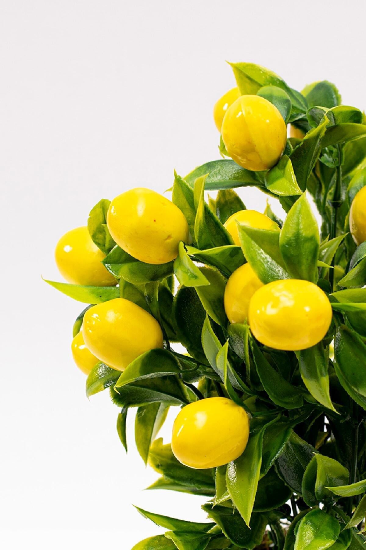 Siyah Saksıda Yapay Limon Ağacı