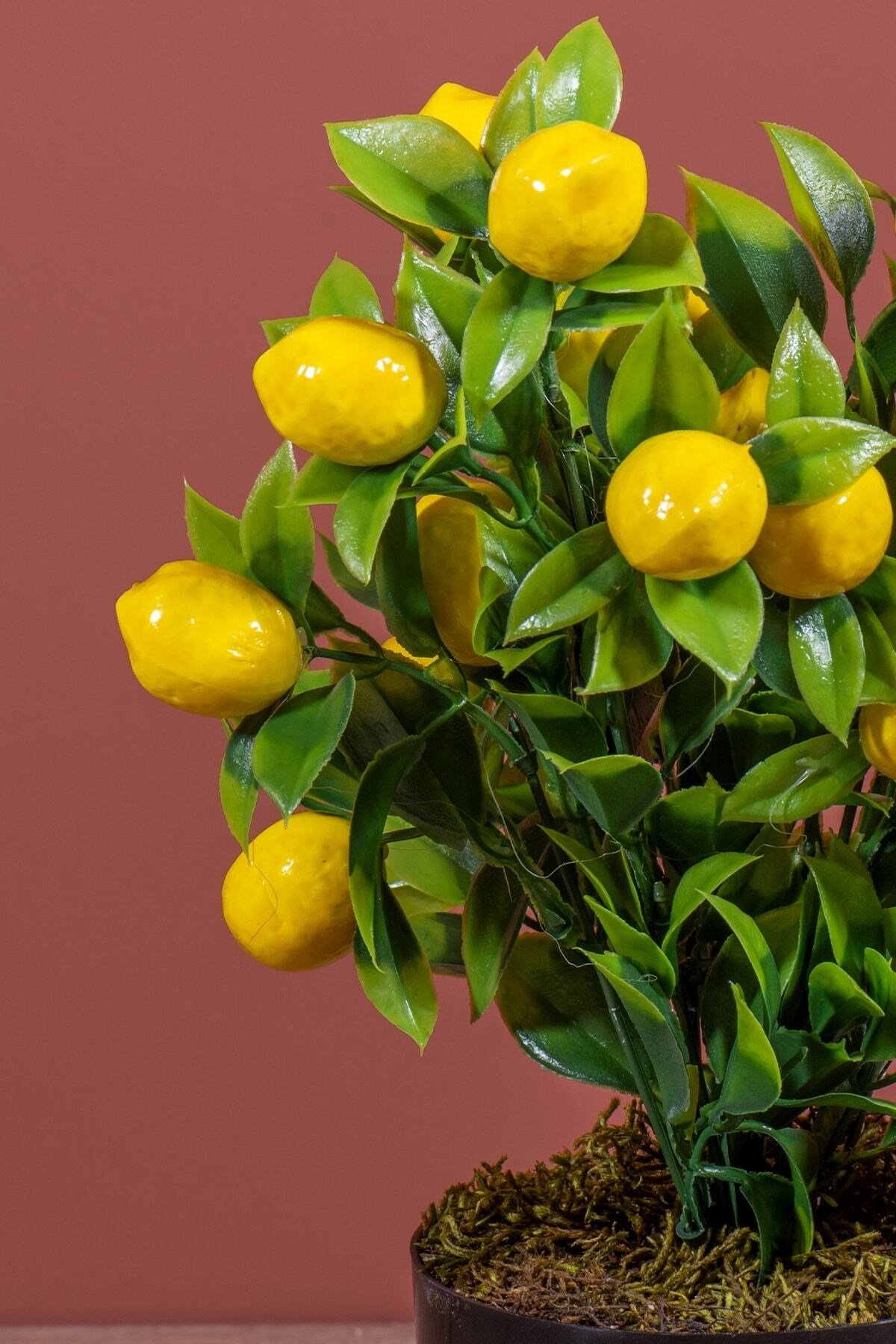 Siyah Saksıda Yapay Limon Ağacı