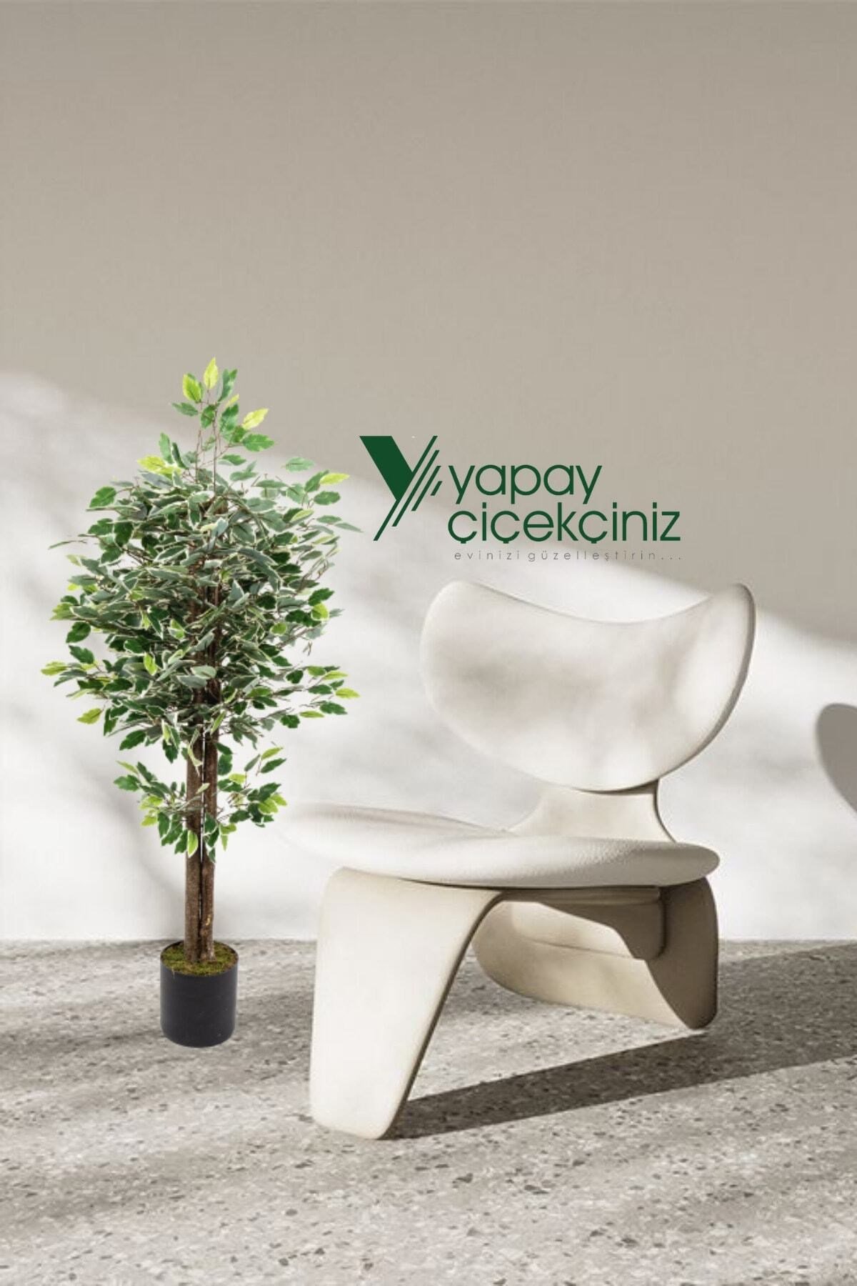 Siyah Saksıda Yoğun Yapraklı 120 Cm Yeşil Beyaz Renkli Yapay Benjamin Ağacı