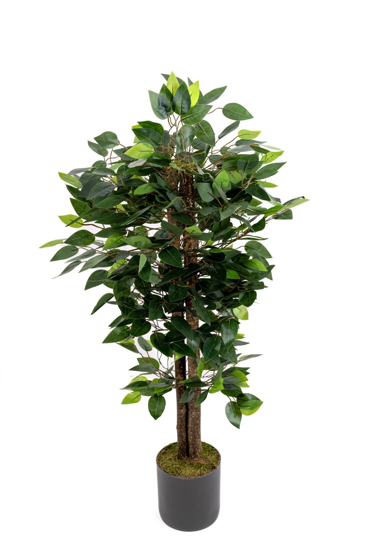 Yapay Benjamin Ağacı 110 Cm