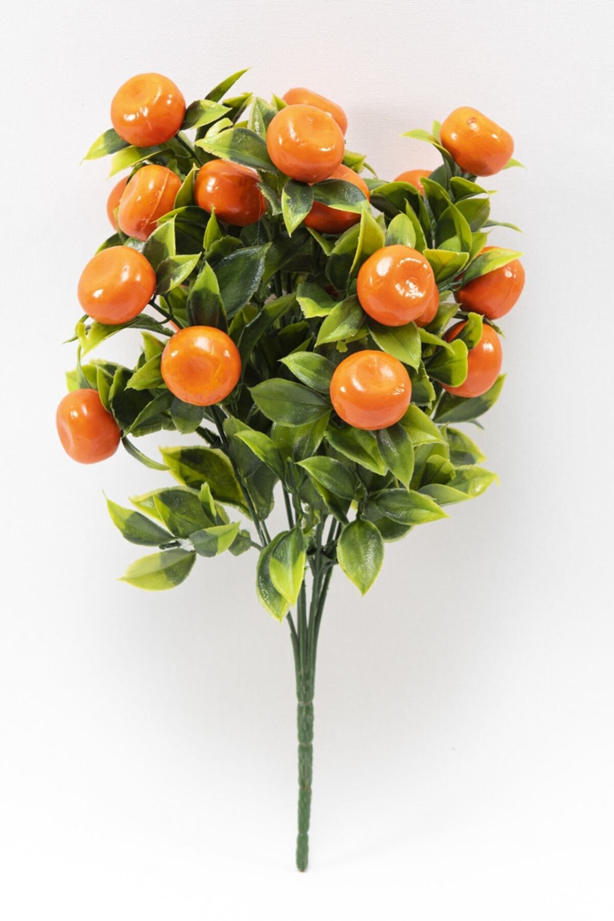 Yapay Mandalina Demeti