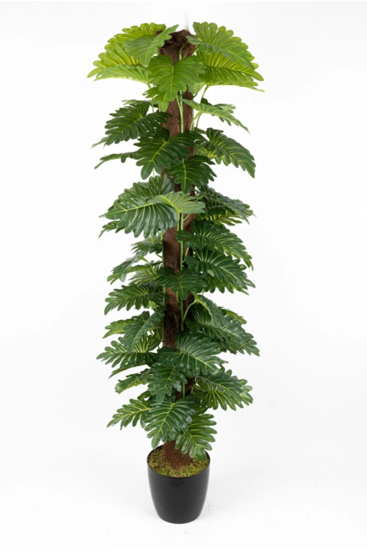 YAPAY MONSTERA AĞACI 150 CM
